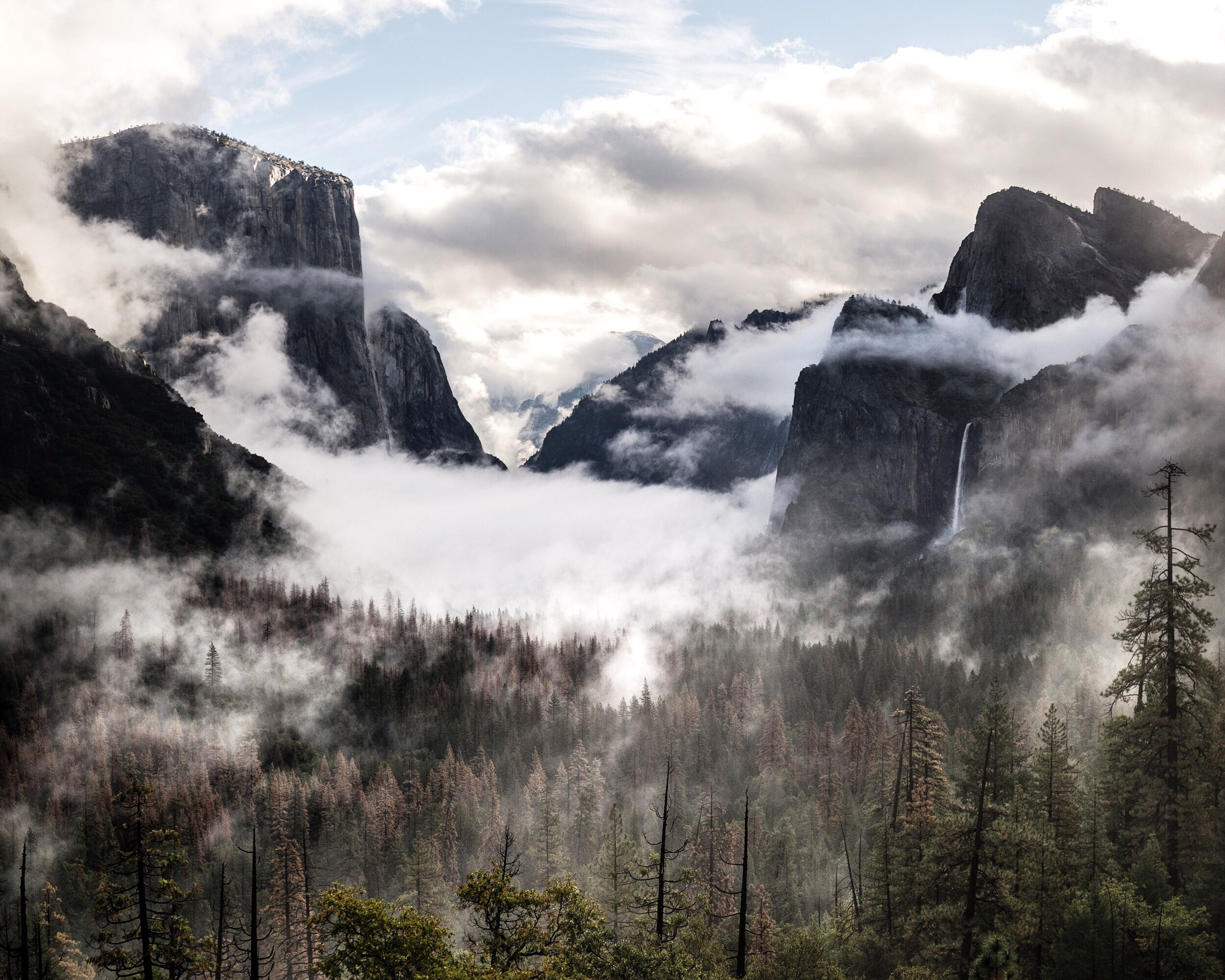 Nikon D4 sample photo. Foggy sunrise at tunnel view. yosemite. california. photography