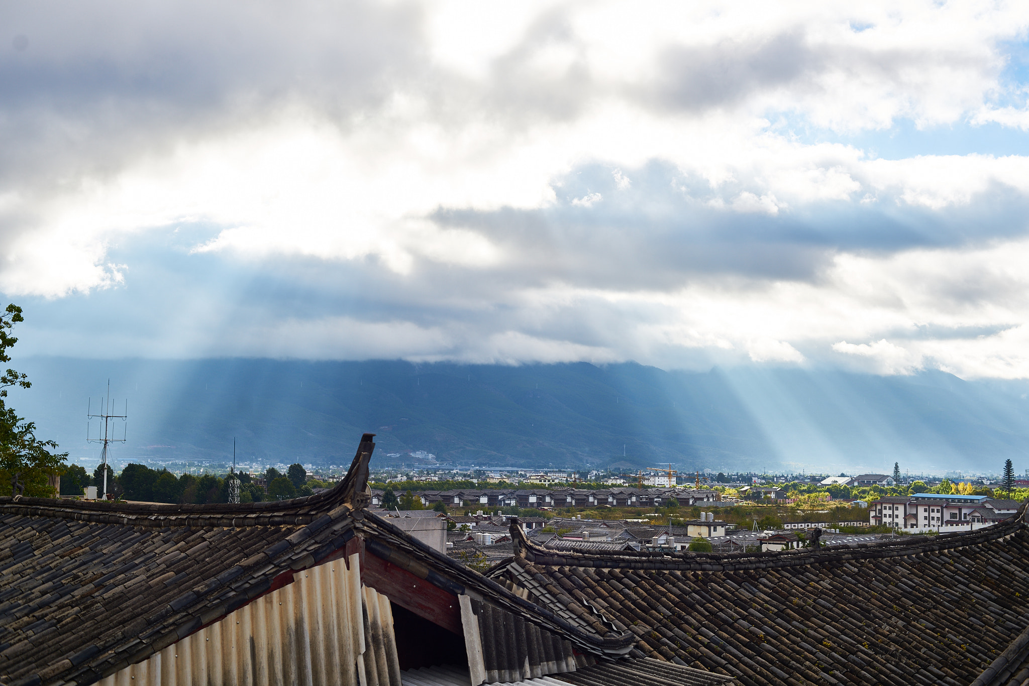 50mm F2 sample photo