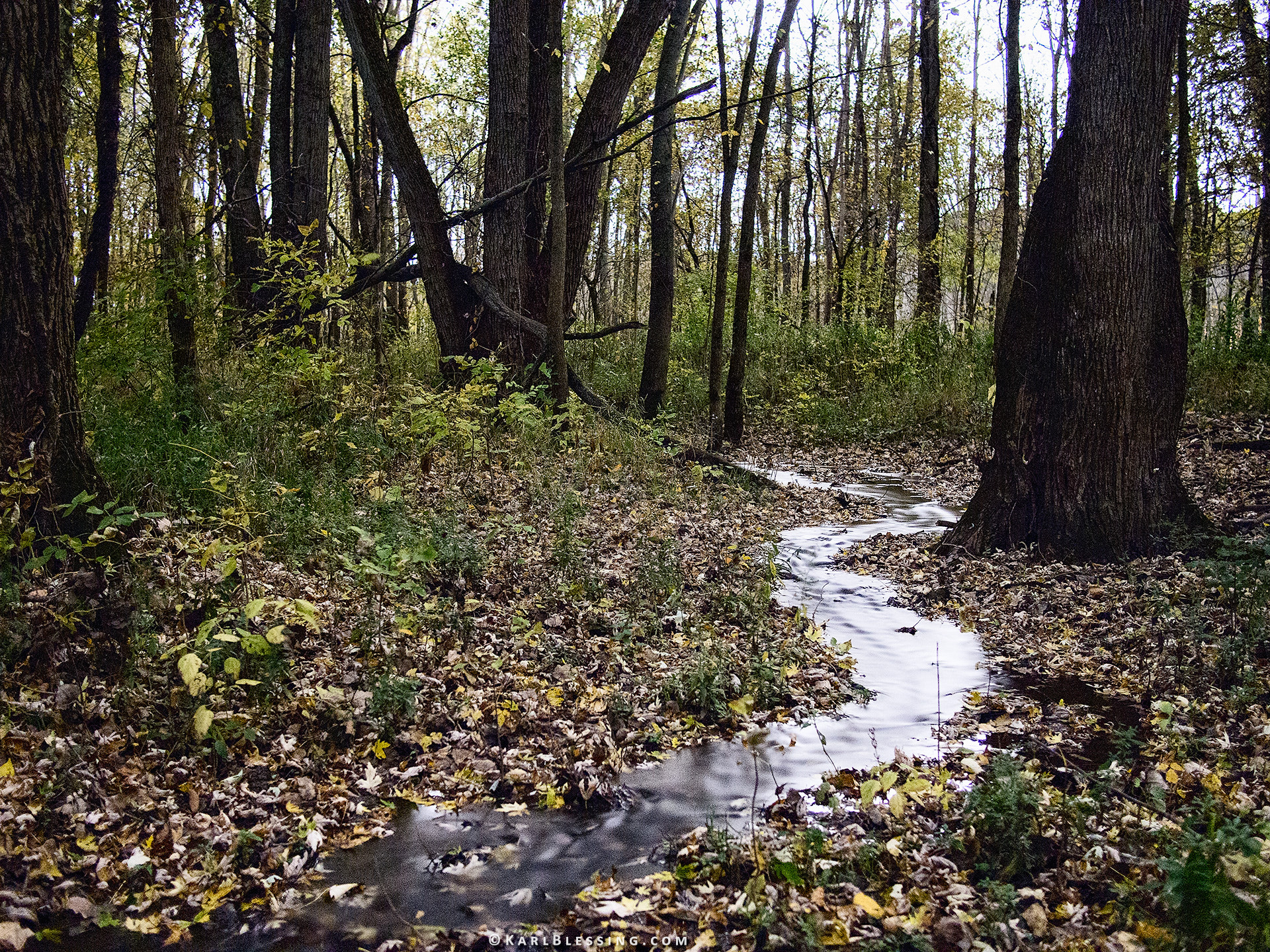 Olympus OM-D E-M5 + Panasonic Lumix G 20mm F1.7 ASPH sample photo. The creek / night photography
