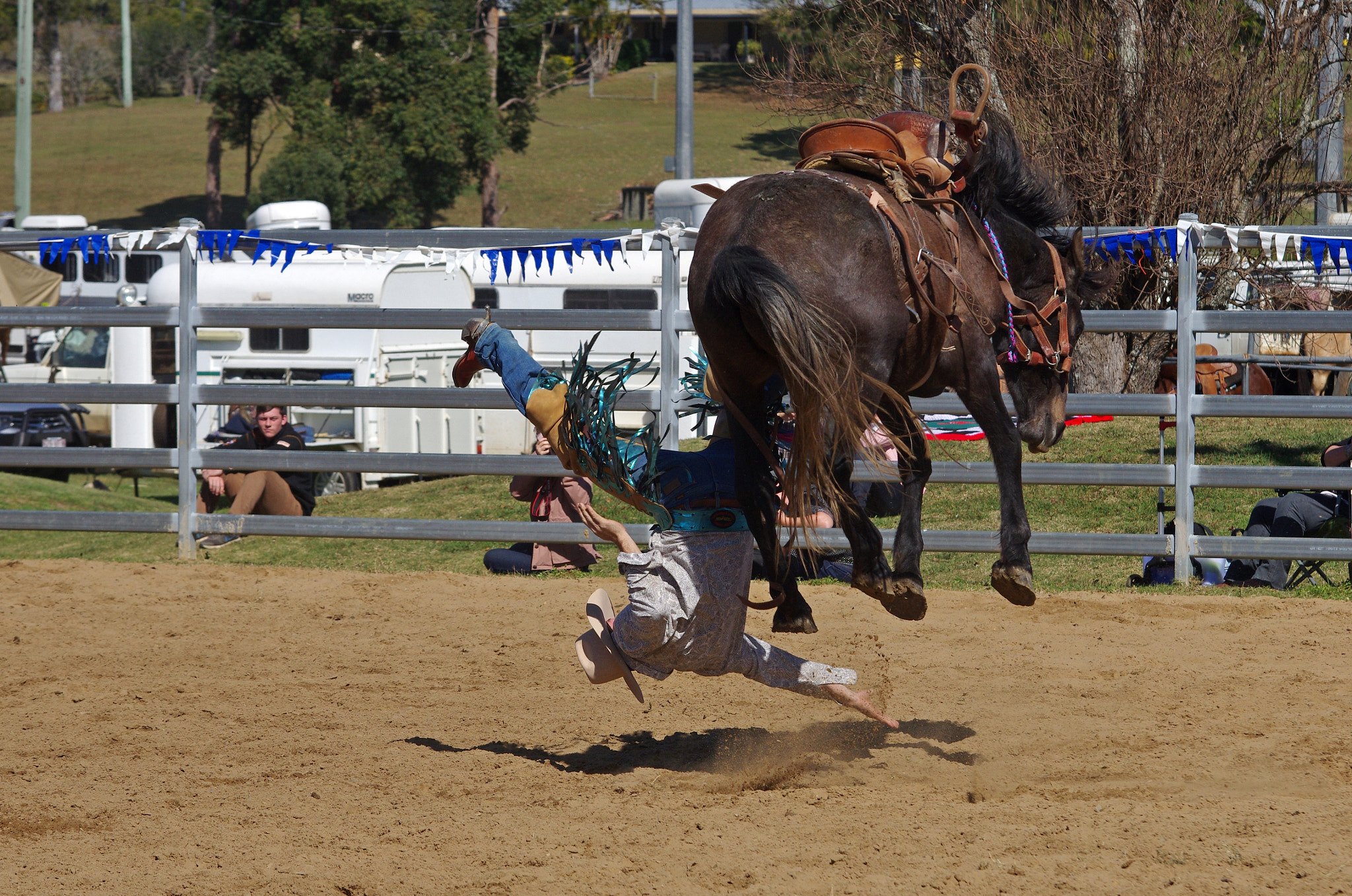 Pentax K-5 IIs + Sigma 70-200mm F2.8 EX DG Macro HSM II sample photo. Ouch photography