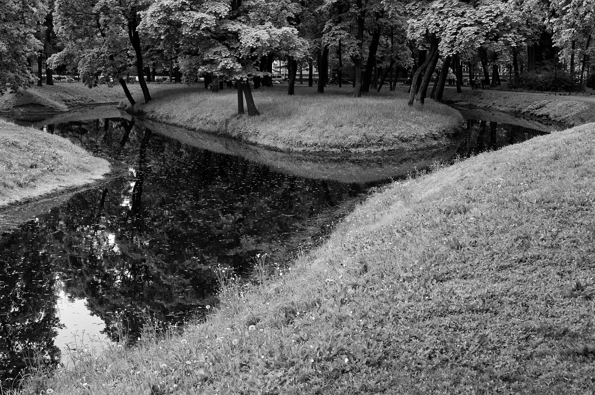 Sony E 35mm F1.8 OSS sample photo. Park. photography