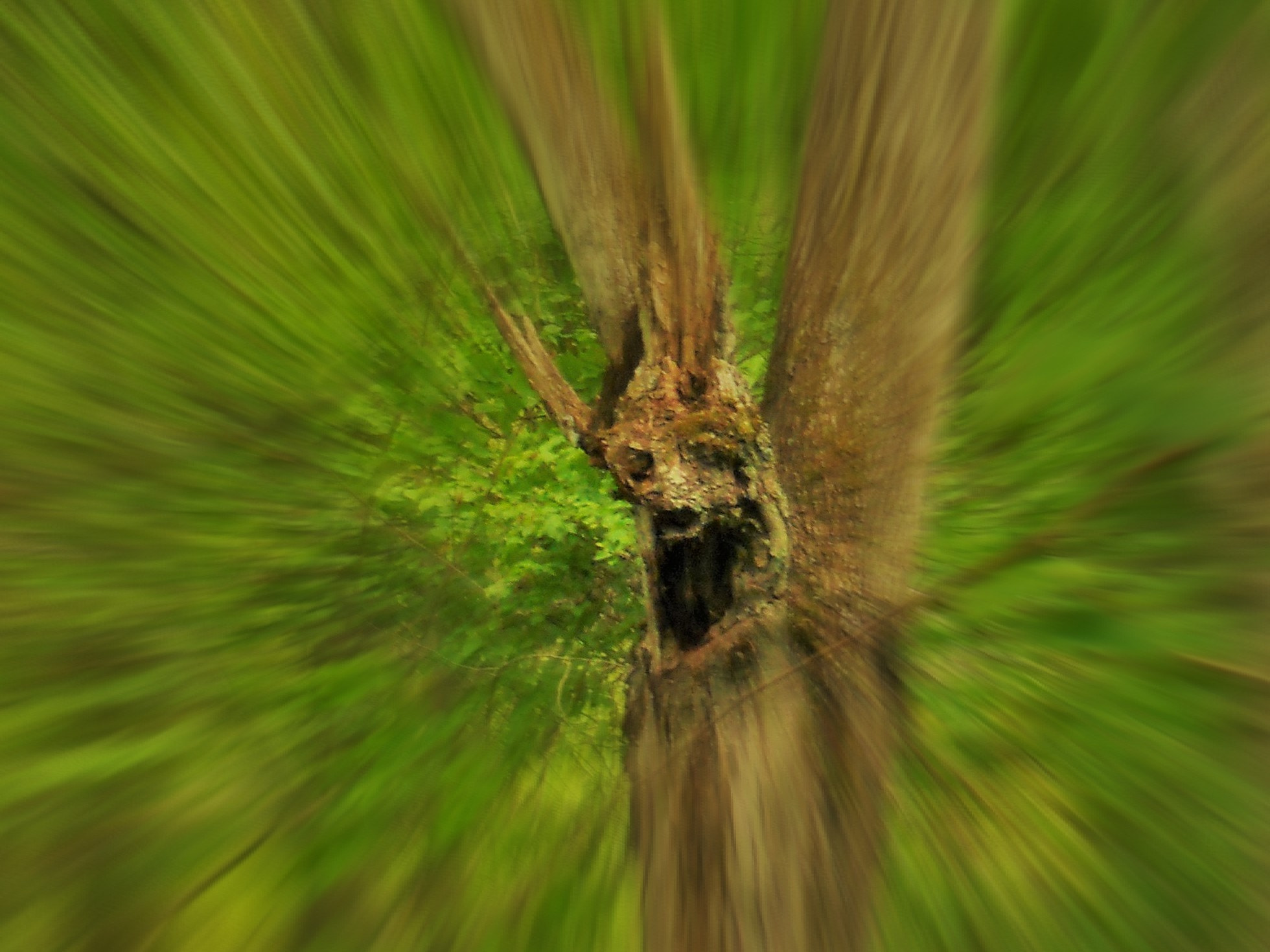 Nikon Coolpix S4000 sample photo. The scream photography