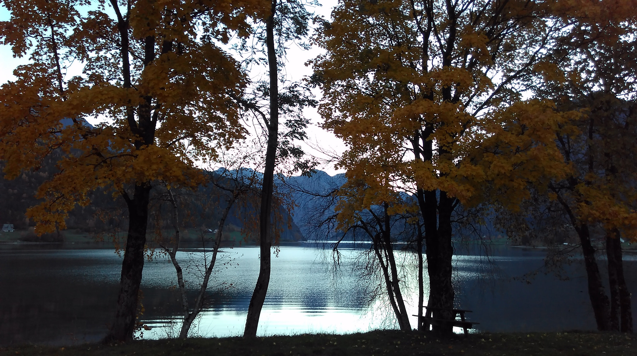HTC DESIRE 626 sample photo