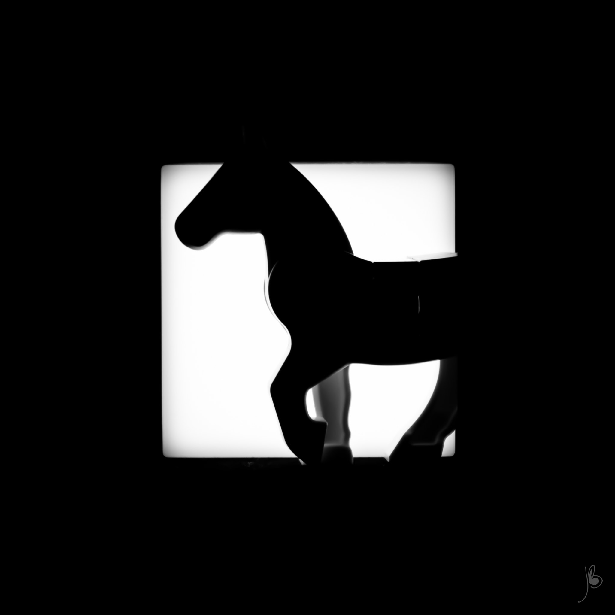 Canon EF 24-70mm F4L IS USM sample photo. Shadow (254/100) - horse photography