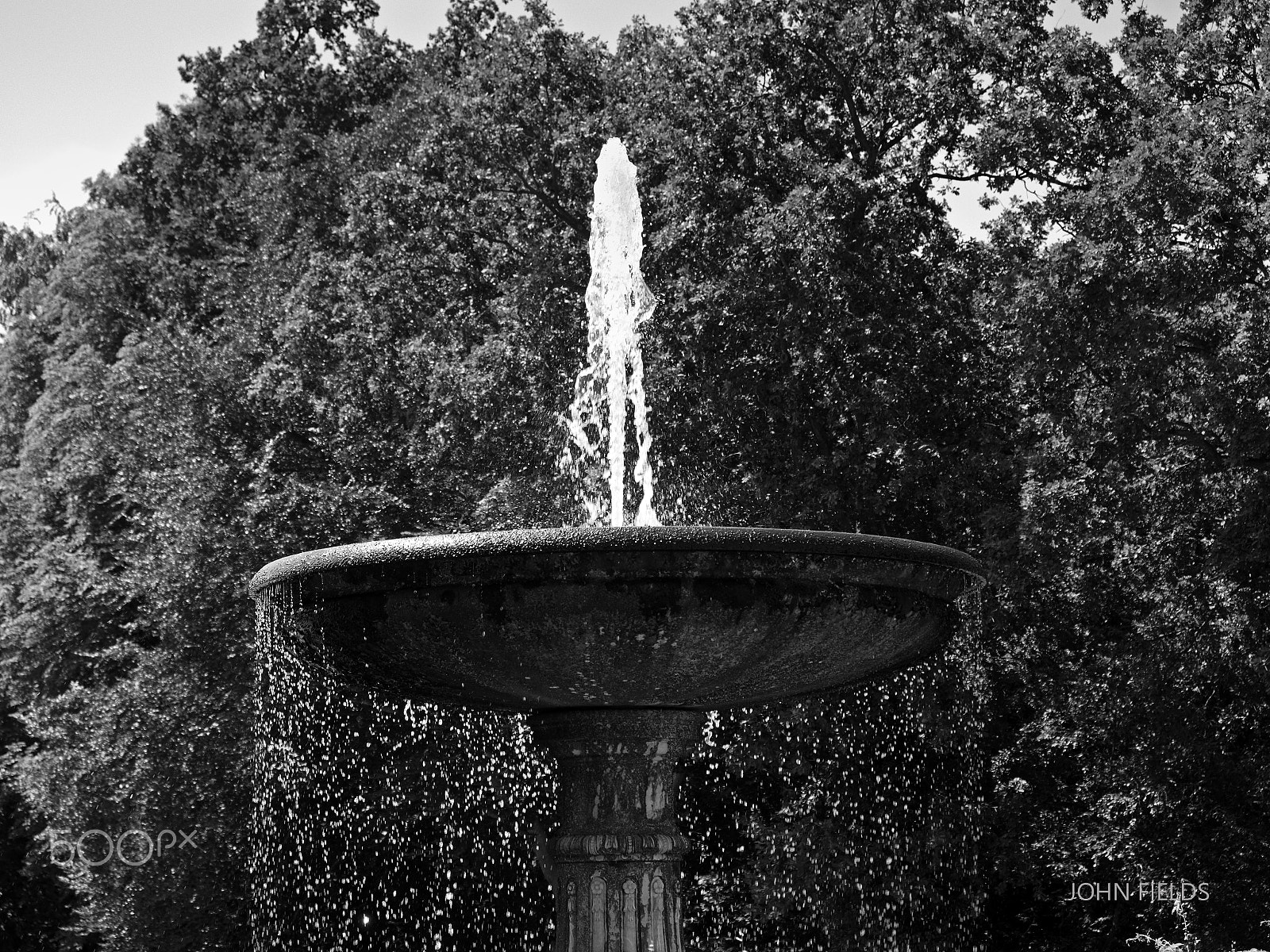 Panasonic Lumix DMC-GX8 + Olympus M.Zuiko Digital ED 12-40mm F2.8 Pro sample photo. Berlin - potsdam (120) photography