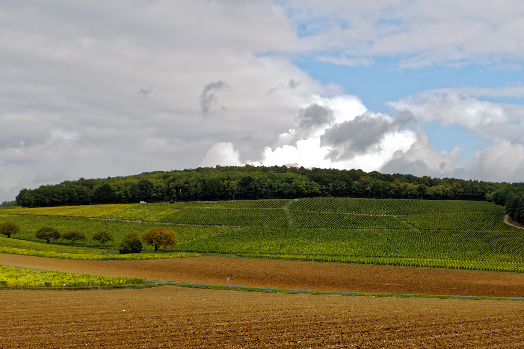 Sigma 17-70mm F2.8-4 DC Macro OS HSM sample photo. Sancerre,le vignoble photography