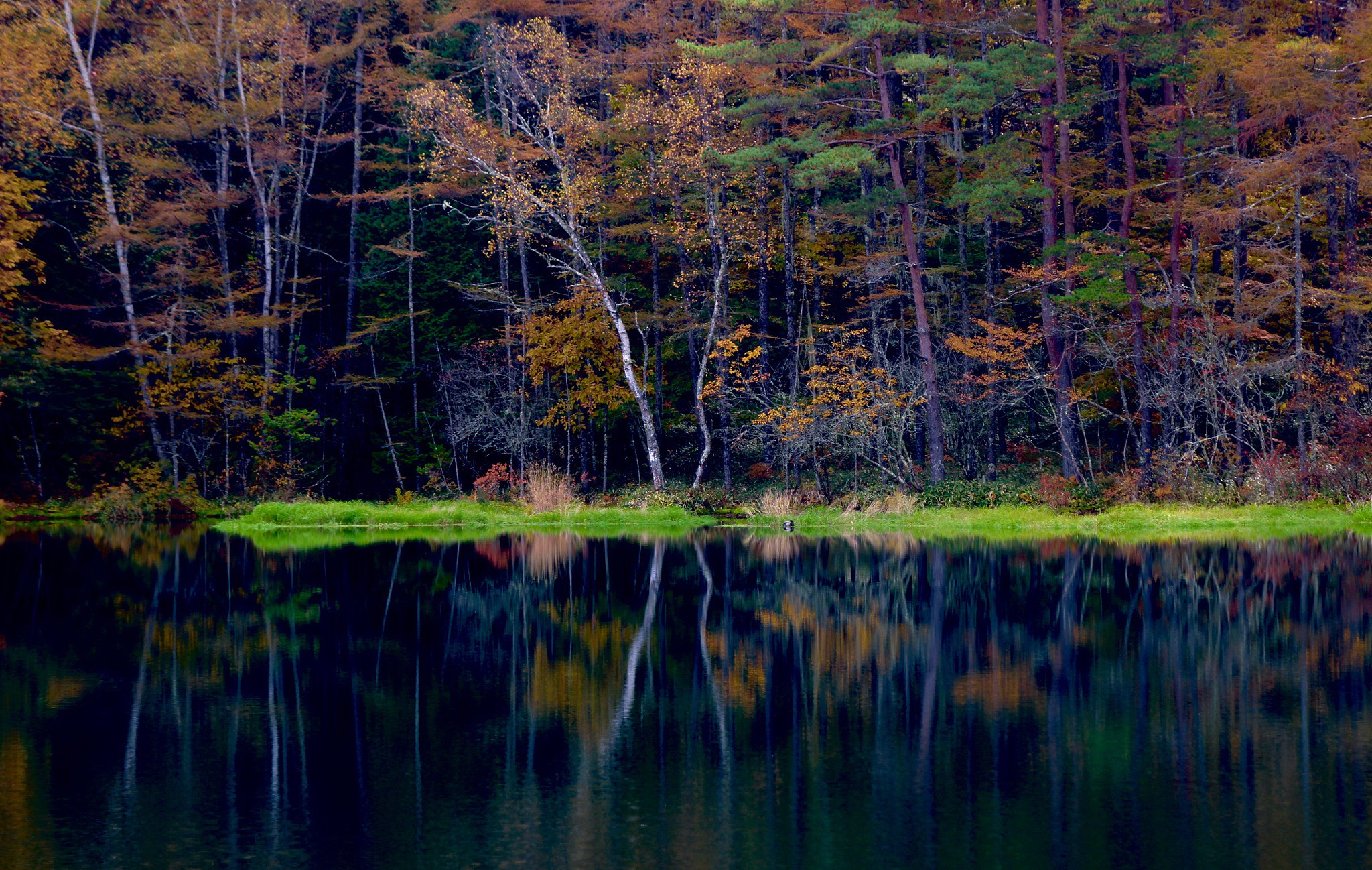 Canon EOS 600D (Rebel EOS T3i / EOS Kiss X5) sample photo. Mishaka lake photography