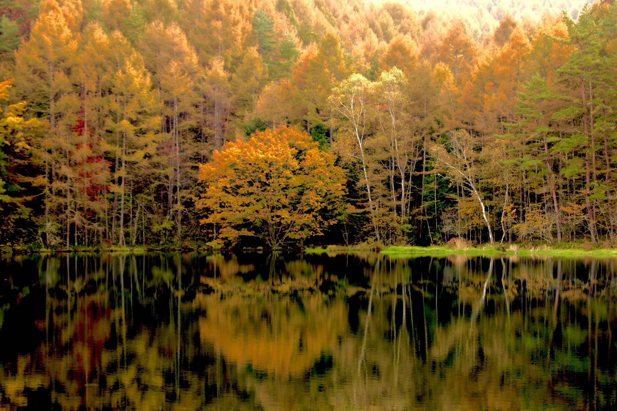 Canon EOS 600D (Rebel EOS T3i / EOS Kiss X5) sample photo. Gold mishaka lake photography