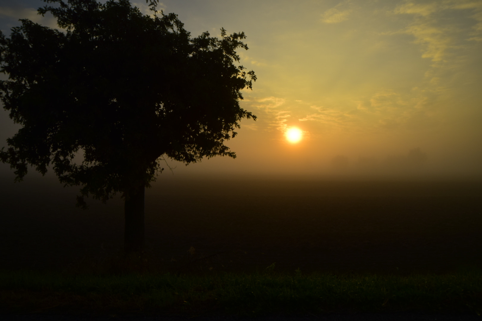 Samyang 14mm F2.8 ED AS IF UMC sample photo. Lighting up the fog photography
