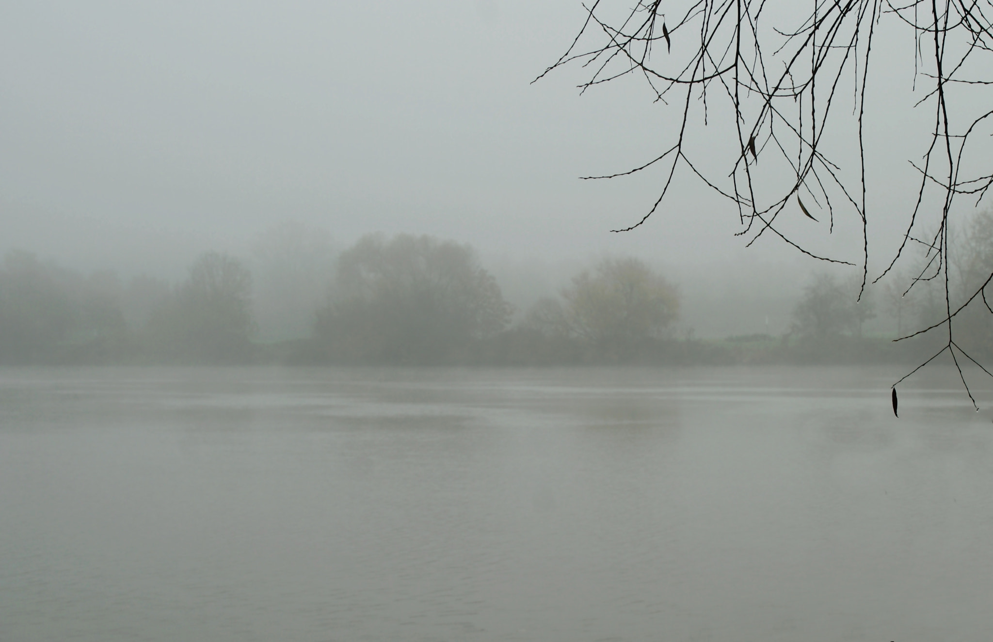 Sony Alpha DSLR-A290 sample photo. Melancholy of autumn photography