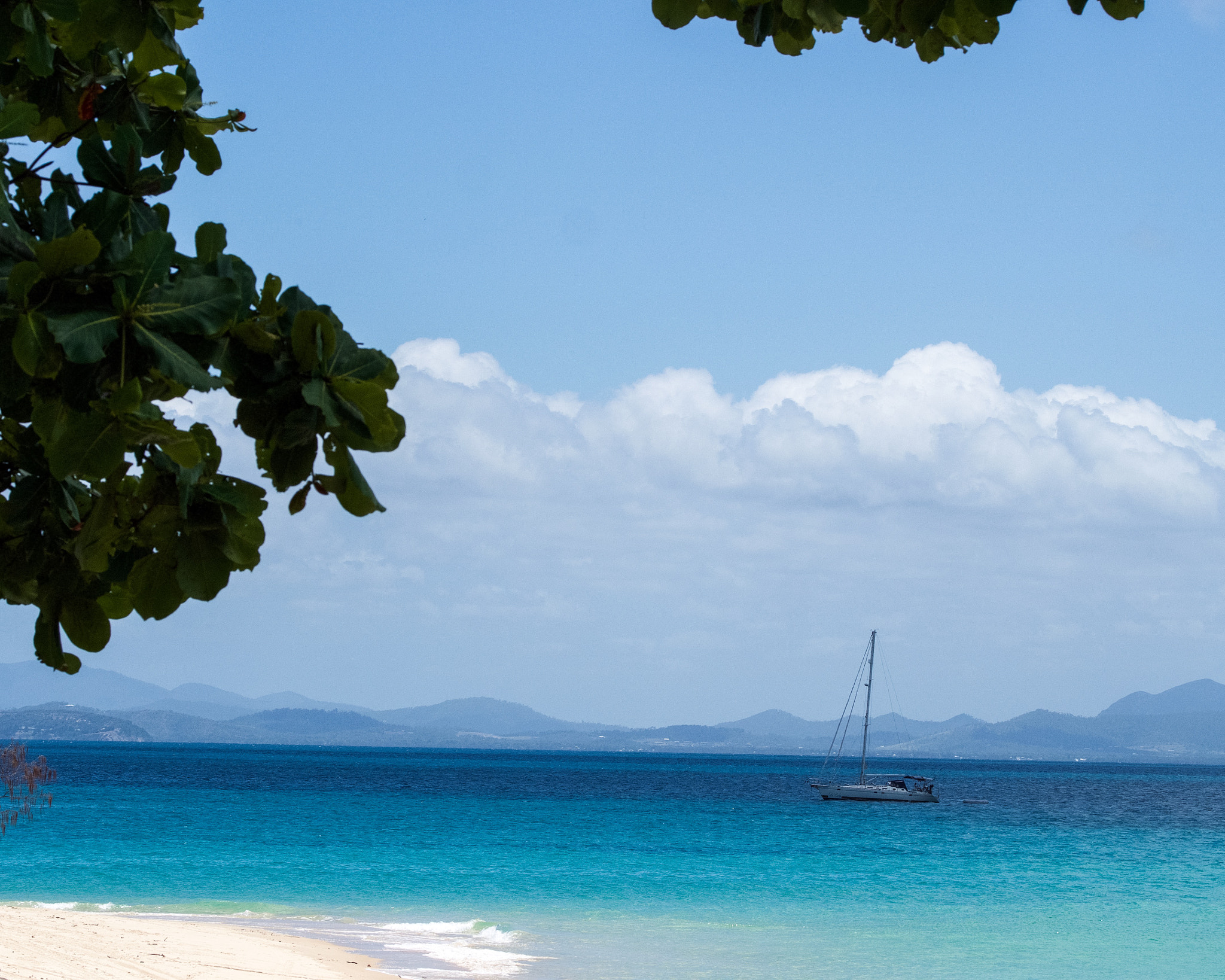 Olympus OM-D E-M5 sample photo. Great keppel island photography