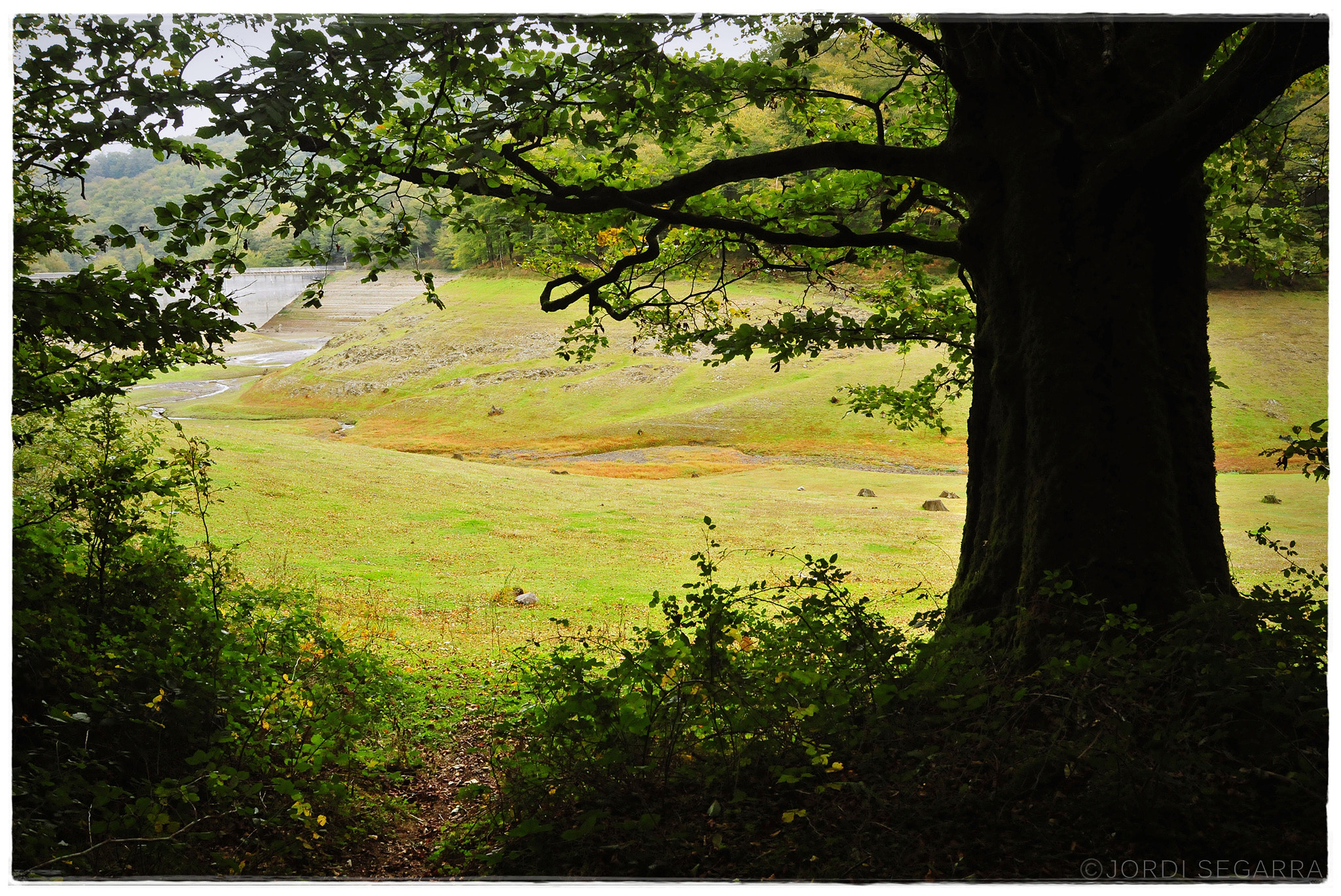 Nikon D300S sample photo. Embalse de leurtza ii photography
