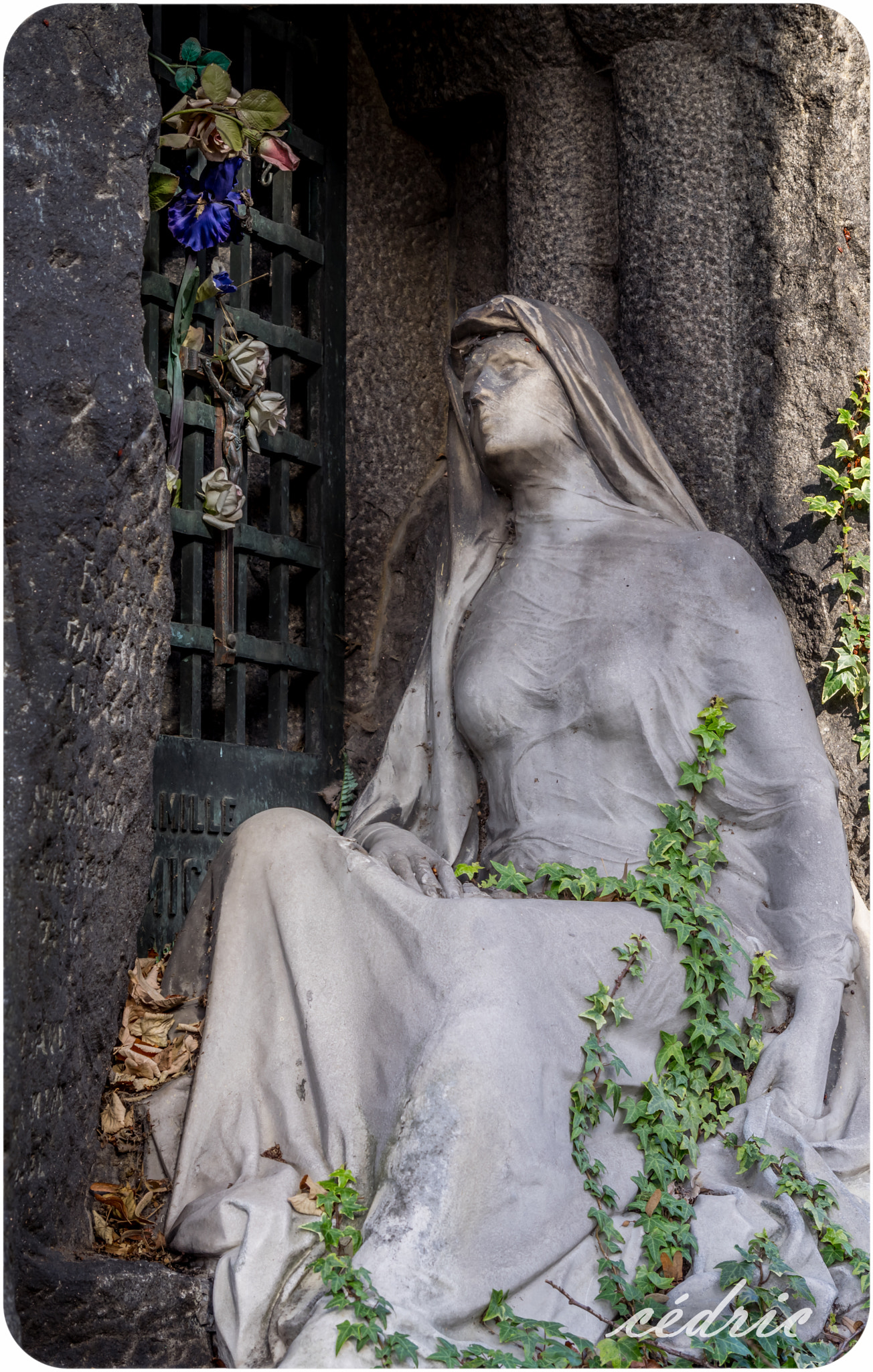 Pentax K-3 II sample photo. La dame au lierre photography