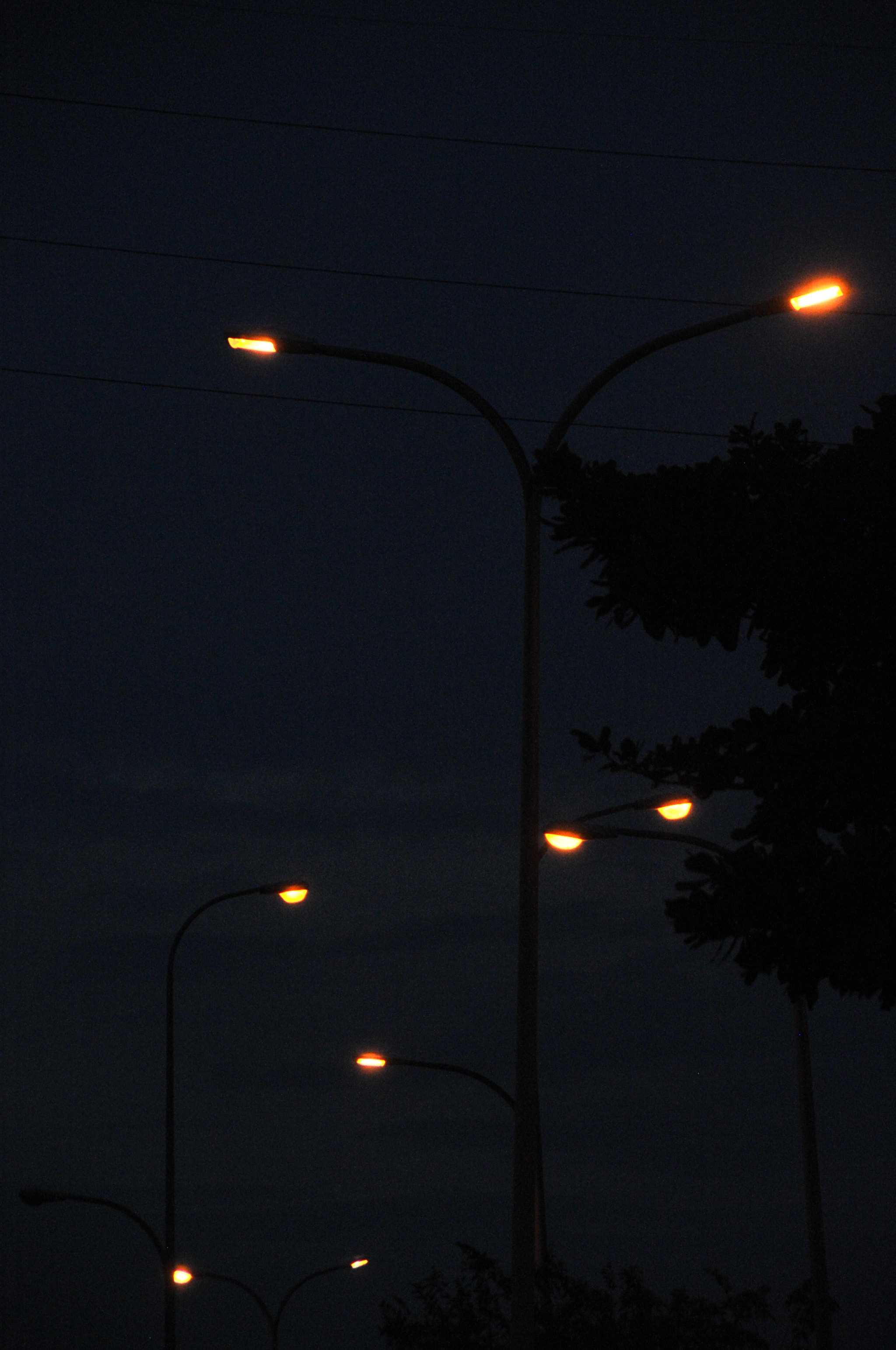 Nikon D3S sample photo. .. photography