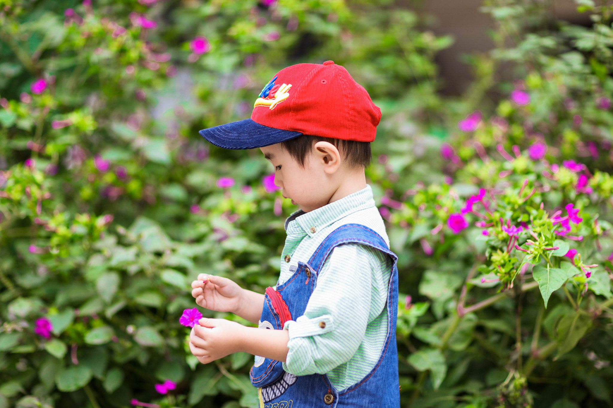 Canon EOS 5DS + Canon EF 85mm F1.2L II USM sample photo. 昊昊 photography