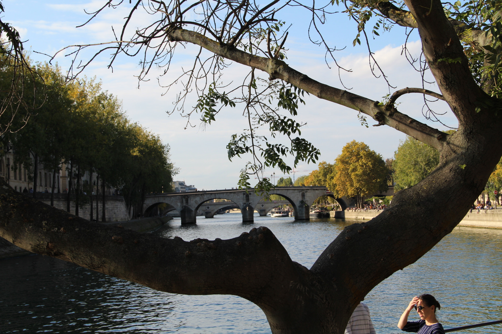 Canon EF-S 18-135mm F3.5-5.6 IS sample photo. Quais de seine photography