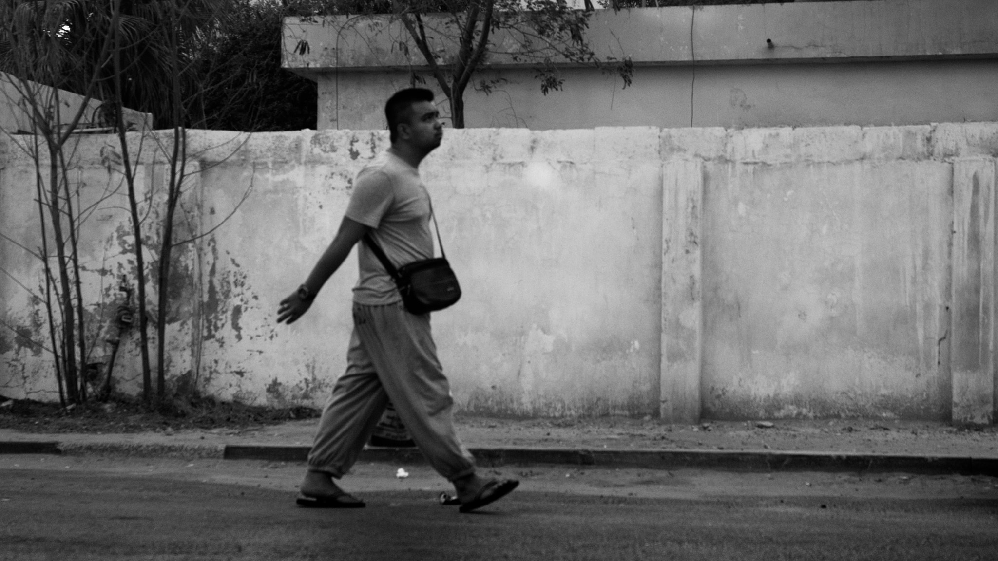Nikon D60 sample photo. Walk 06 photography