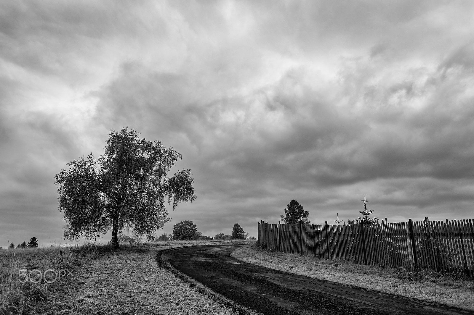 Nikon D700 + Nikon AF Nikkor 28mm F2.8D sample photo. Into the unknown photography