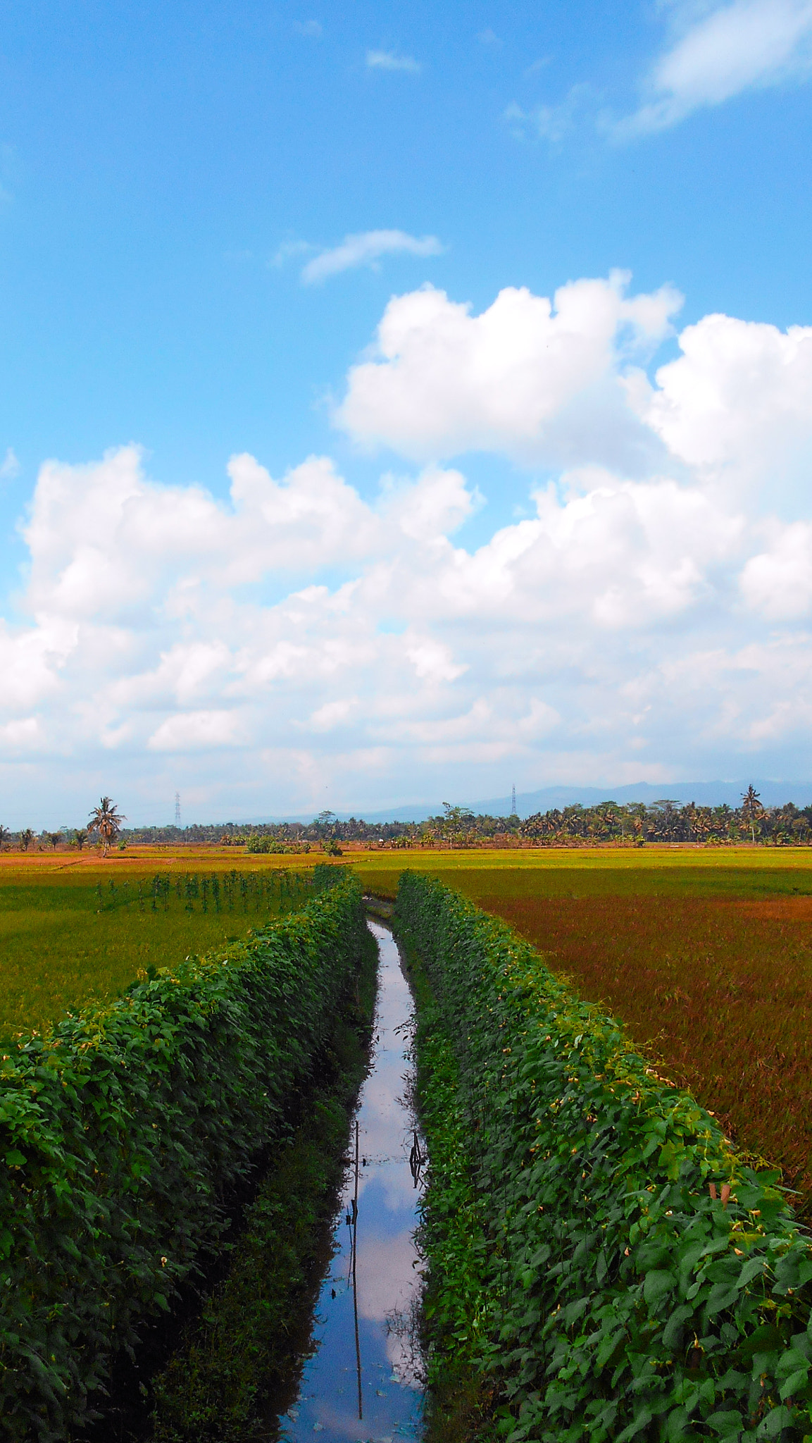 Nikon COOLPIX S2800 sample photo. Ciamis,indonesia photography