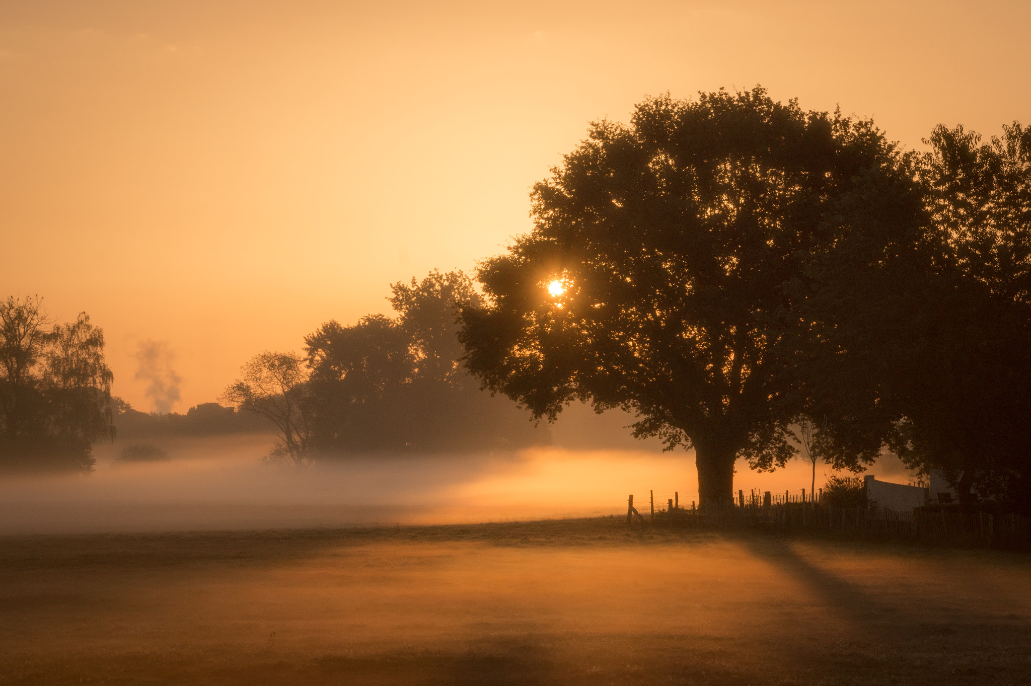 Sony SLT-A58 + Tamron 16-300mm F3.5-6.3 Di II VC PZD Macro sample photo. Misty morning photography