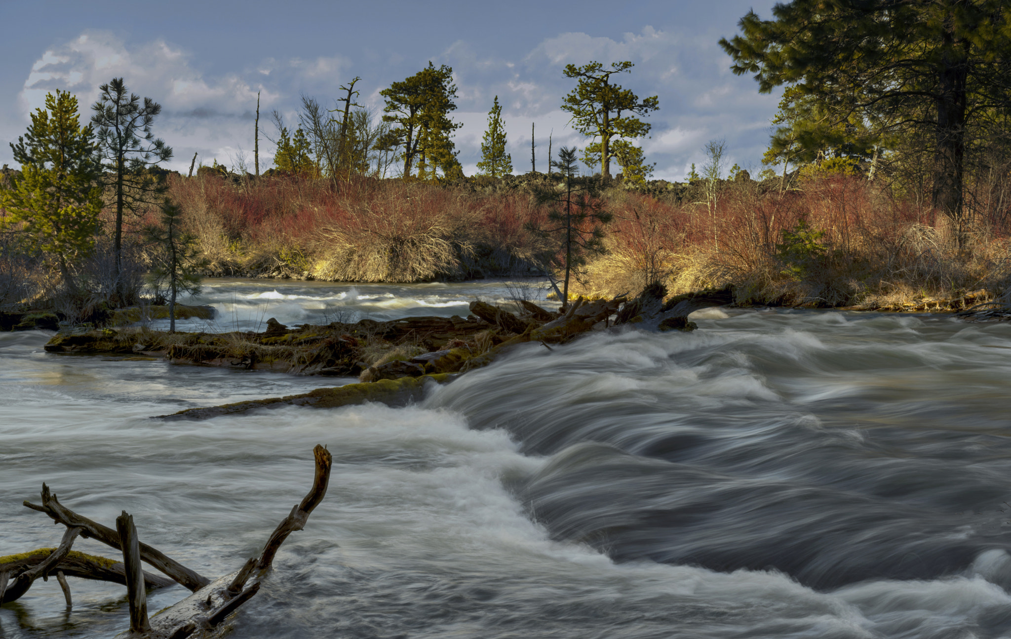 Sony Alpha DSLR-A850 + Sigma 17-70mm F2.8-4.5 (D) sample photo. Oregon, early spring photography