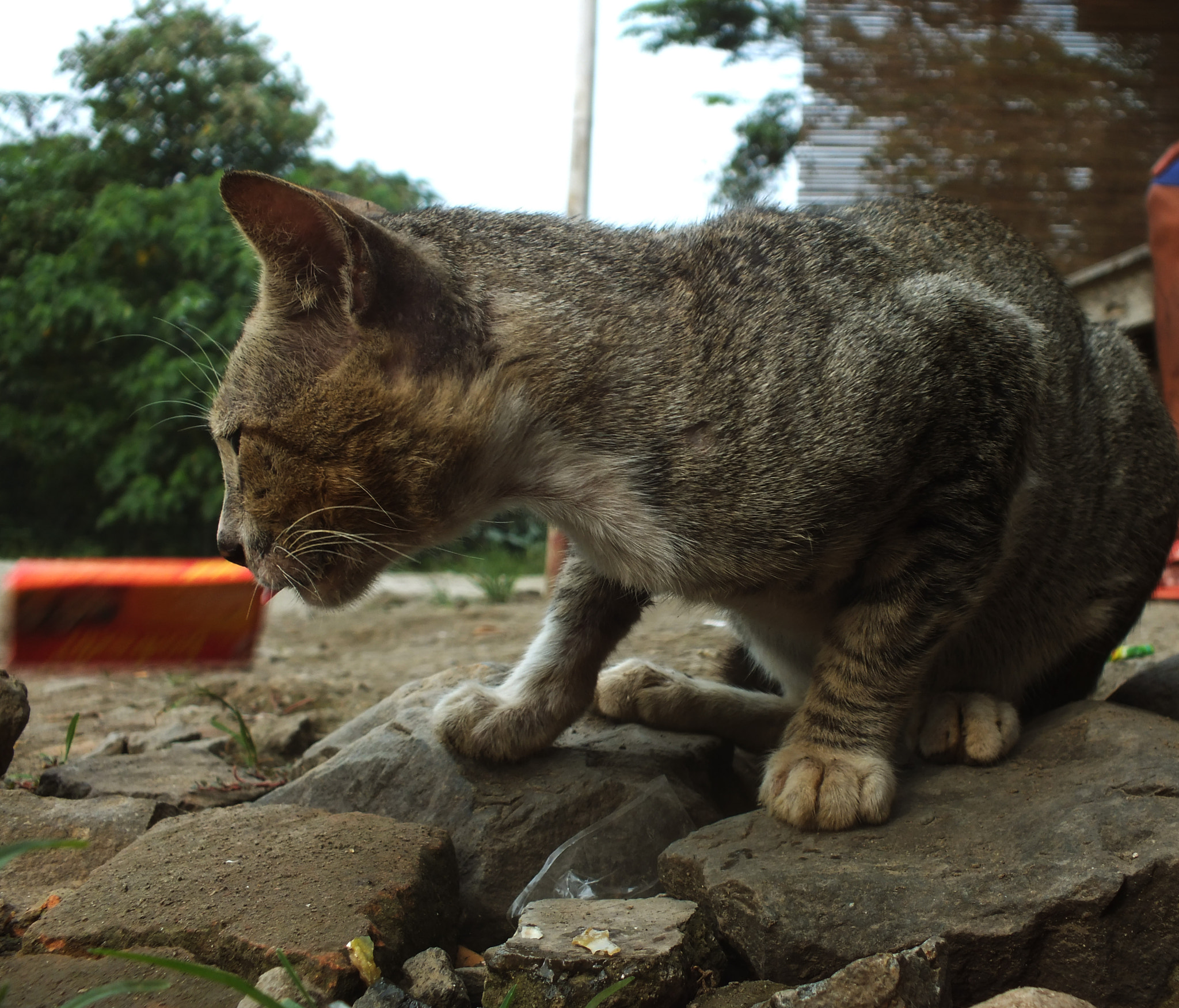 Fujifilm FinePix HS33EXR sample photo. Shy photography