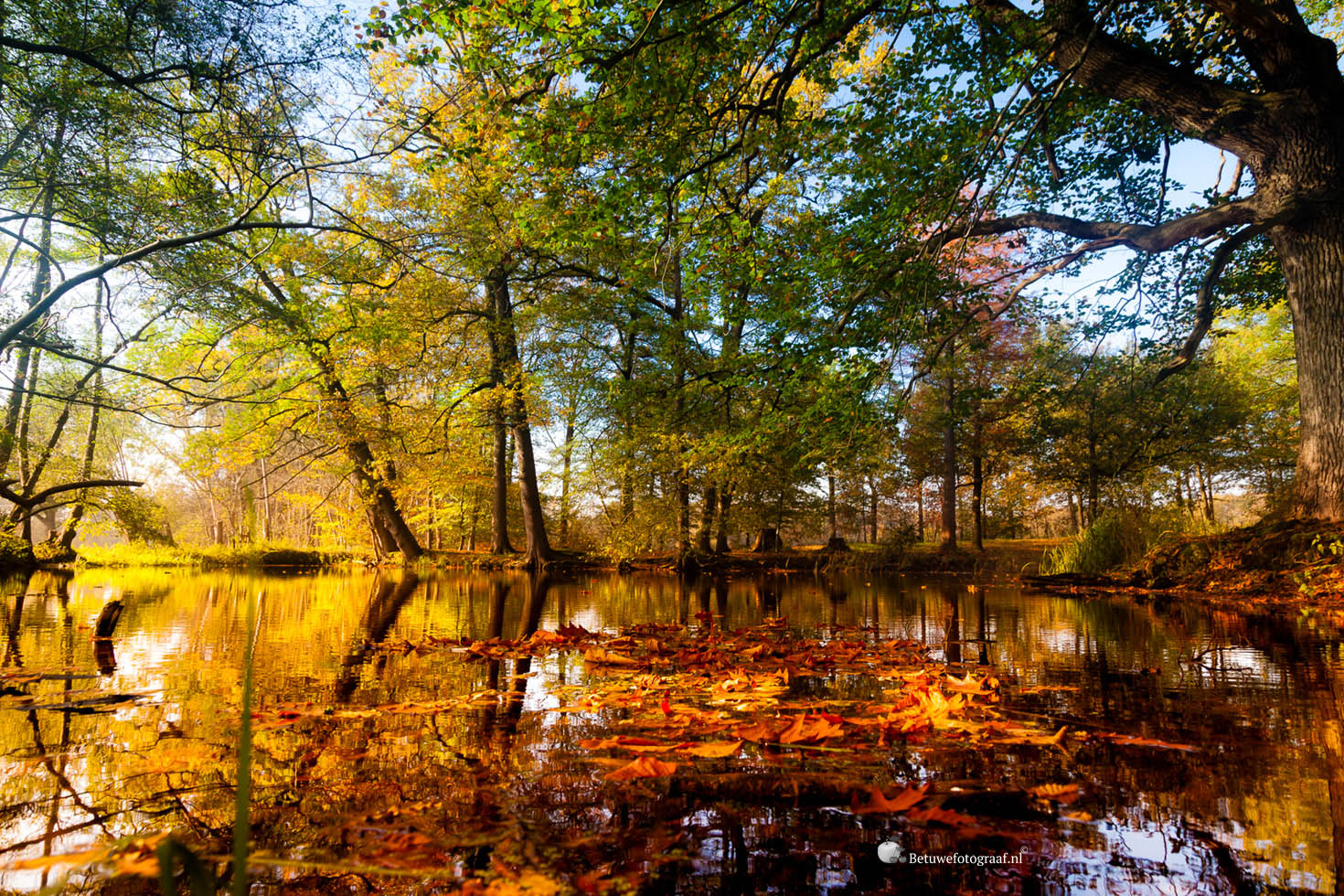 Canon EOS 5D Mark II + Sigma 24-105mm f/4 DG OS HSM | A sample photo. I love the colors of autumn photography