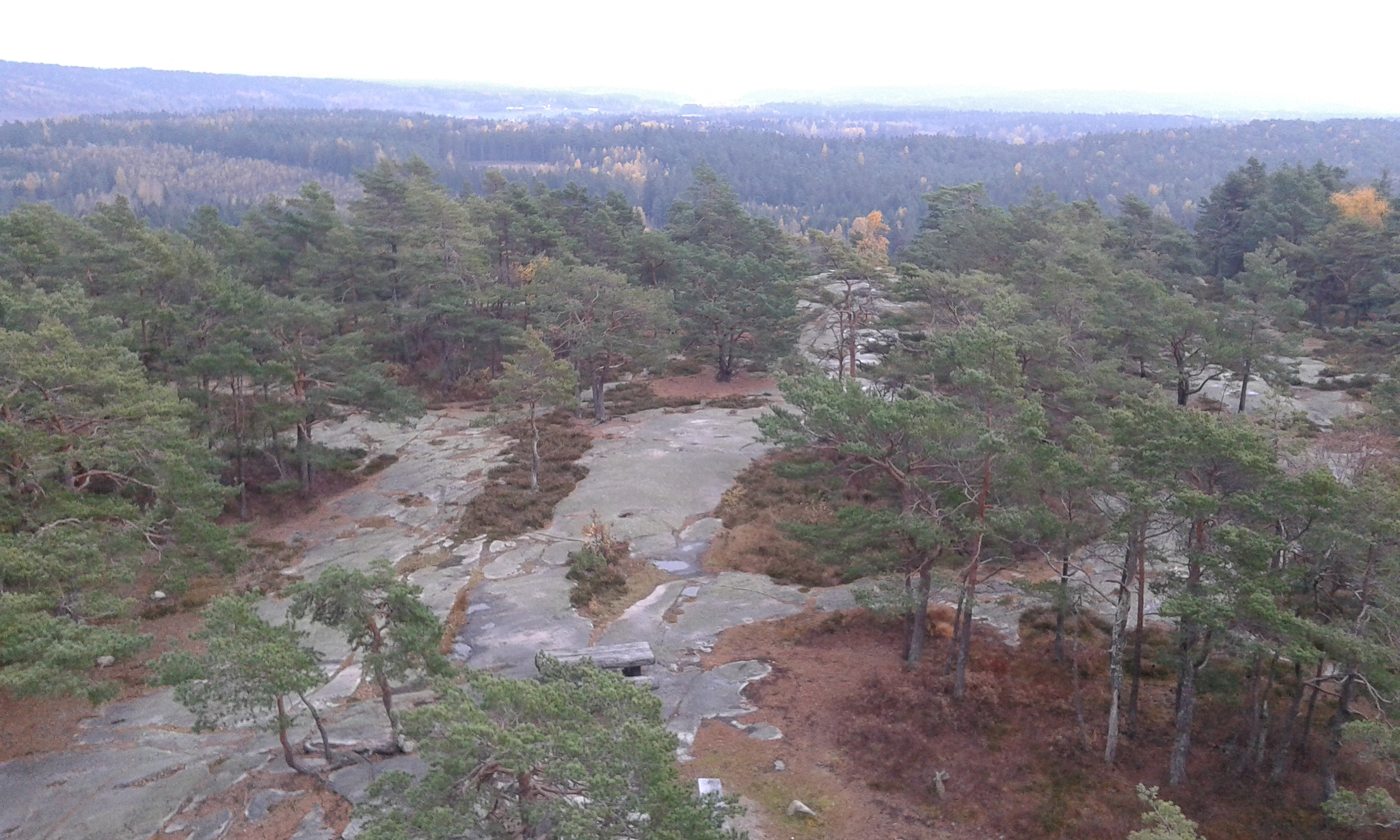 Samsung Galaxy Grand Neo sample photo