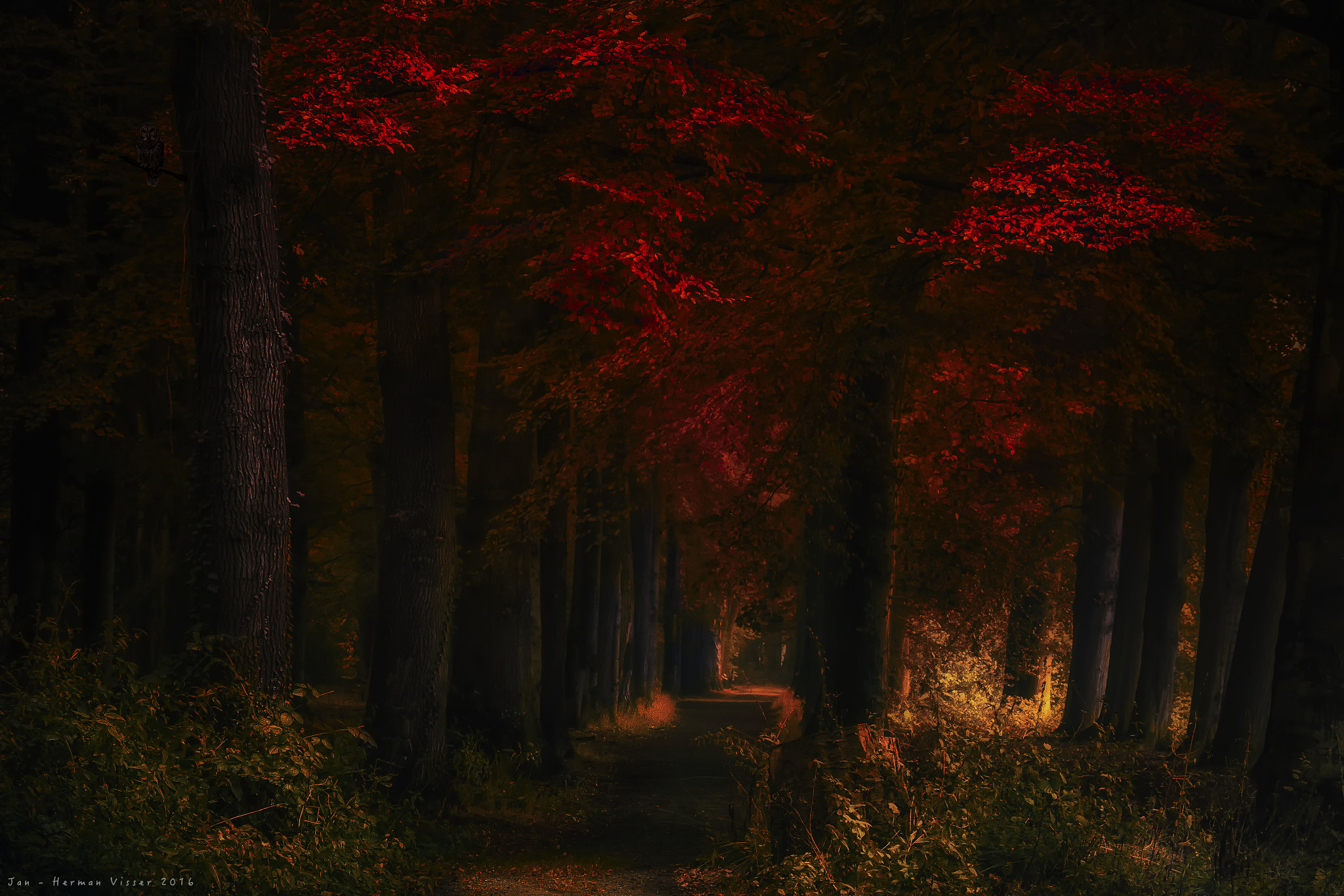 Canon EF 50-200mm f/3.5-4.5 sample photo. Indian summer... photography