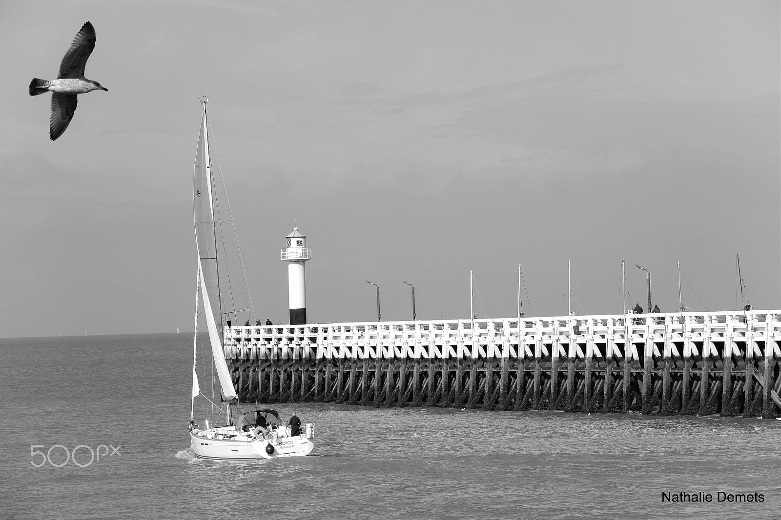Nikon 1 J3 sample photo. Sailing out... photography