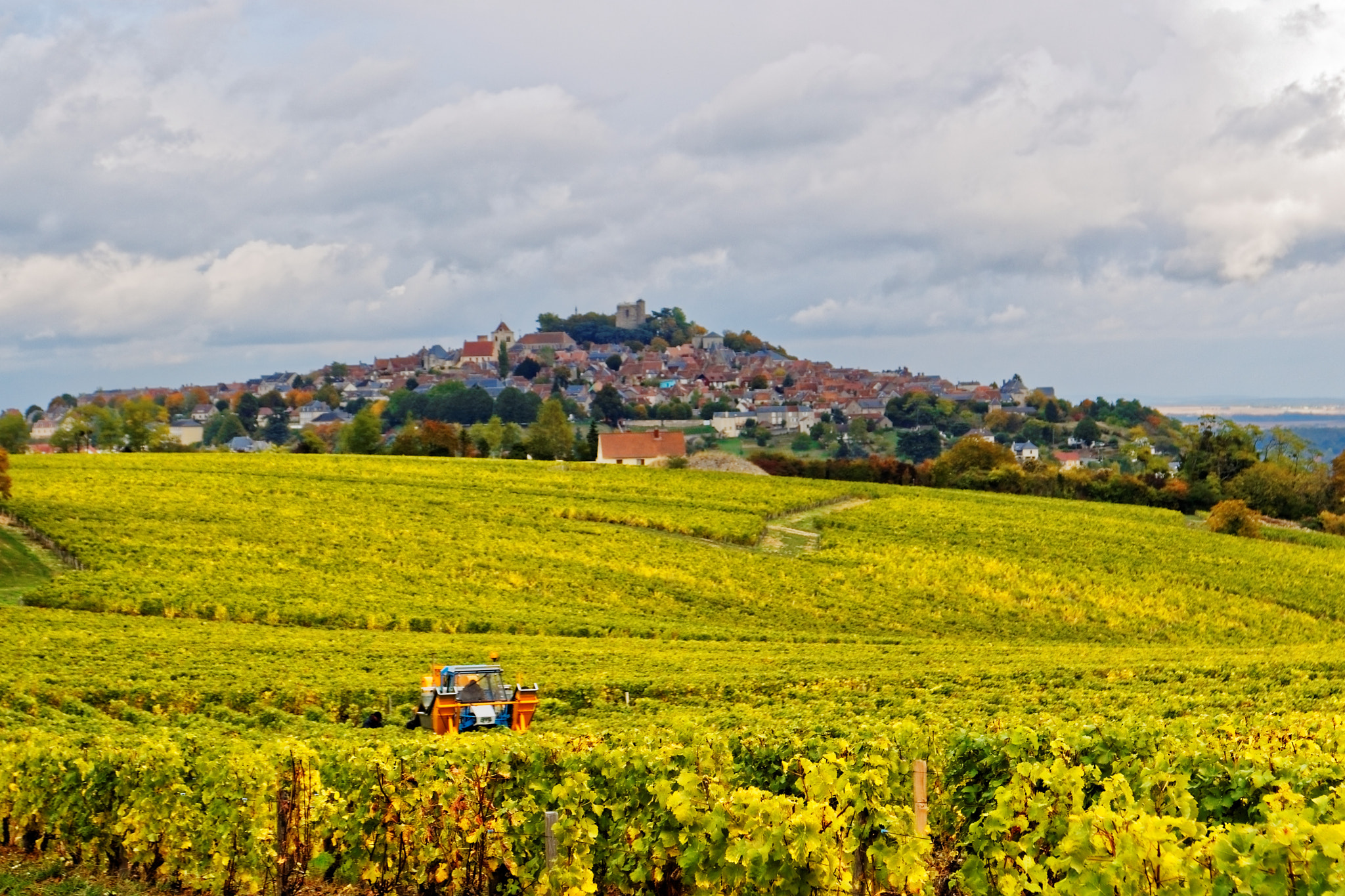 Sigma 17-70mm F2.8-4 DC Macro OS HSM sample photo. Sancerre photography