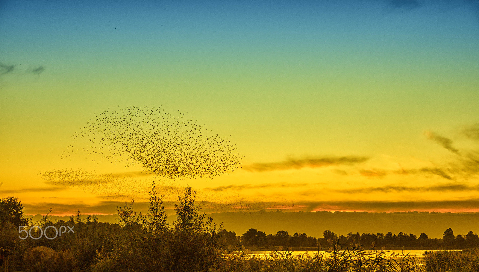 AF Zoom-Nikkor 28-70mm f/3.5-4.5D sample photo. Birds photography