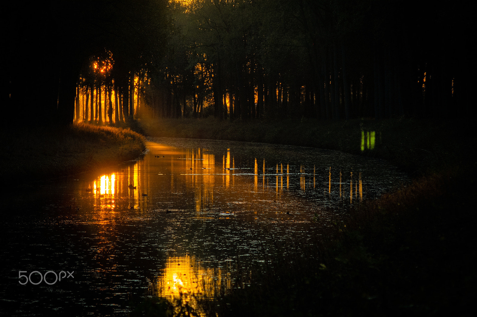 Nikon D70s + AF Nikkor 70-210mm f/4-5.6 sample photo. Autumn morning at the schipdonkkanaal photography