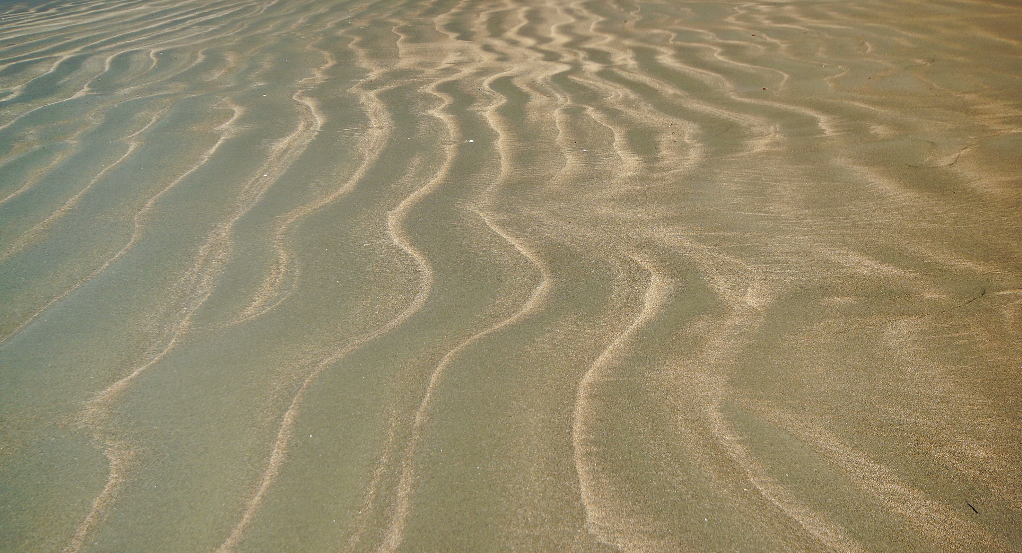 Sigma AF 10-20mm F4-5.6 EX DC sample photo. Shape of sand photography