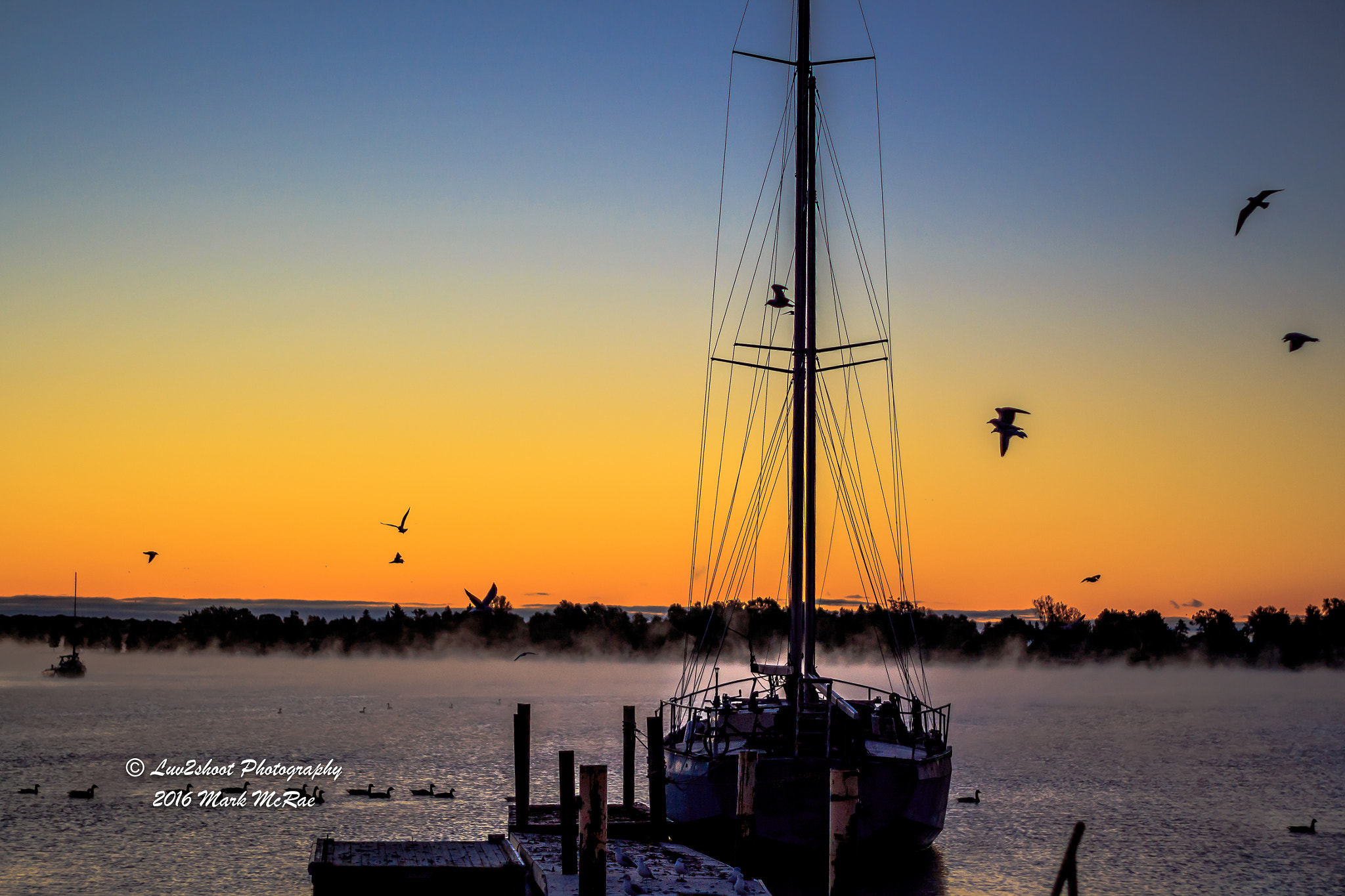 Canon EF 50mm f/1.8 sample photo. Misty sunrise on the st. lawrence river  photography