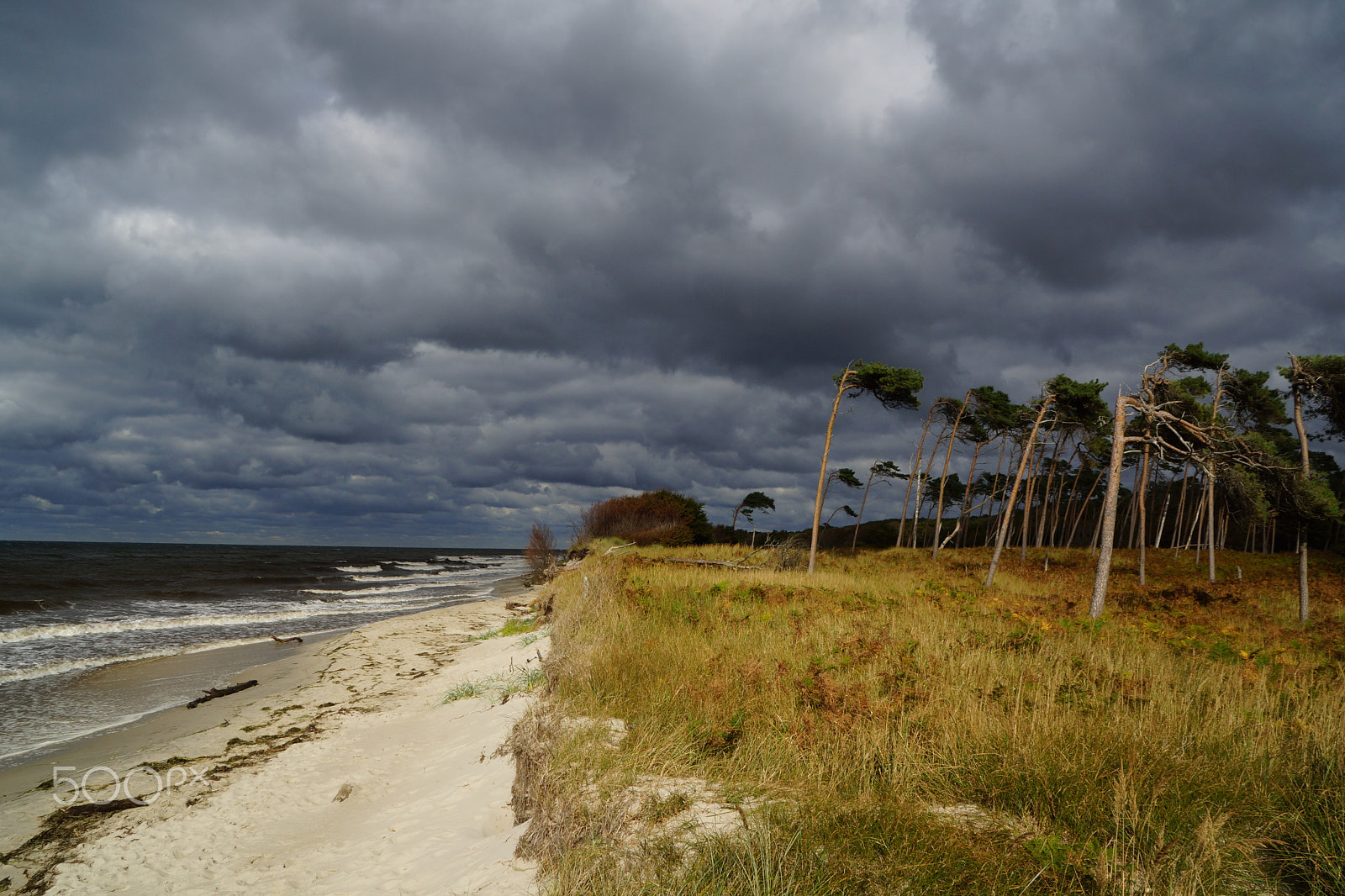 Sony SLT-A65 (SLT-A65V) sample photo. Fischland darß i photography