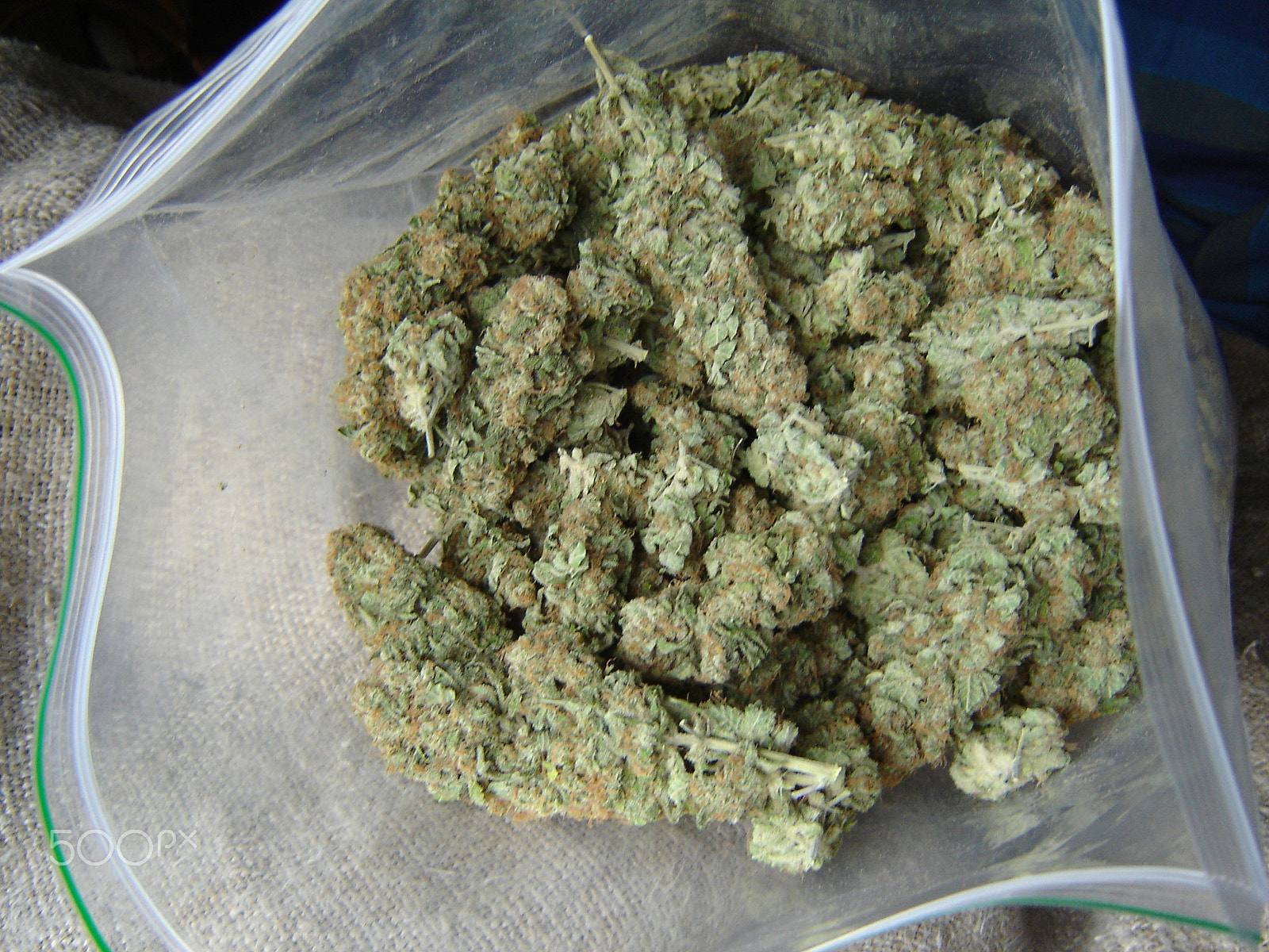 Sony DSC-P73 sample photo. Weed and hash images photography