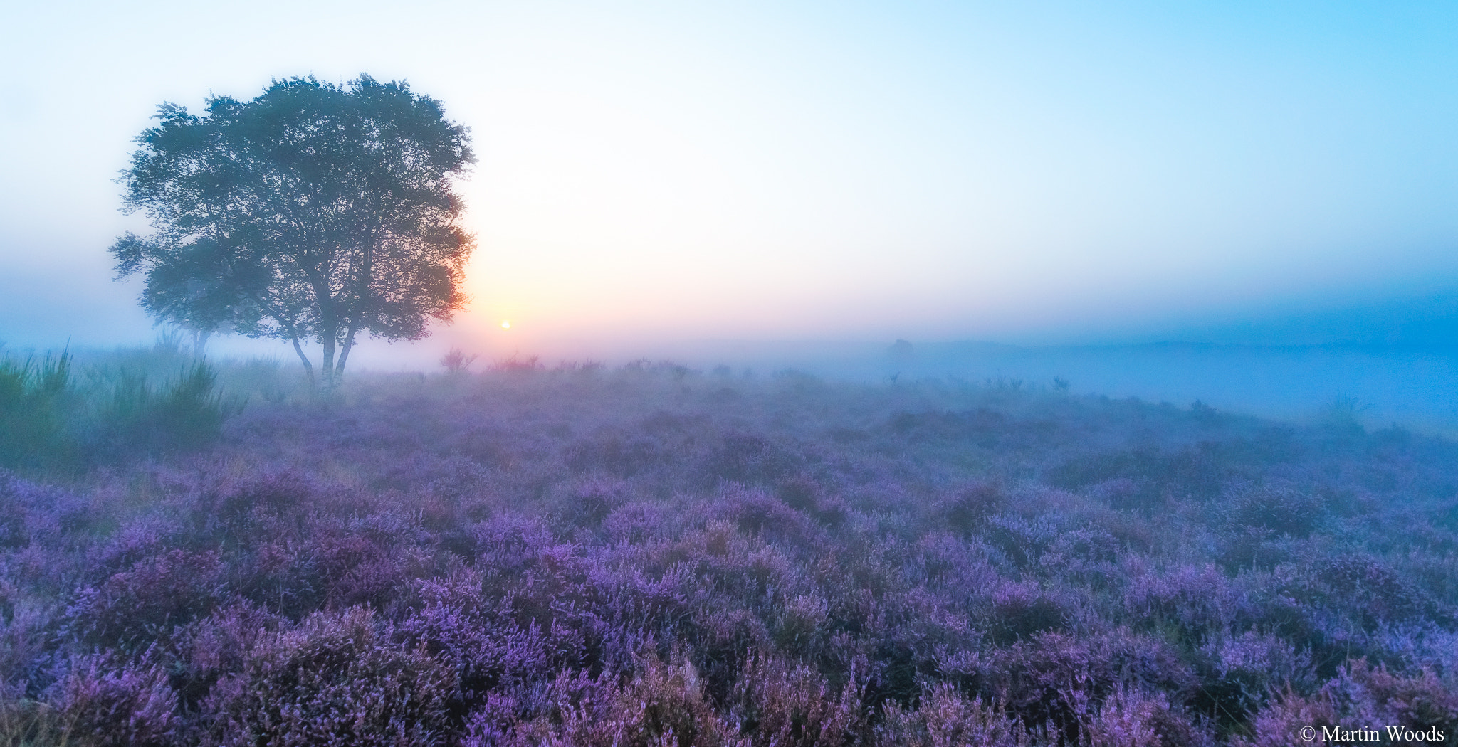 Nikon D500 sample photo. Dawn on the westerheide, nl photography