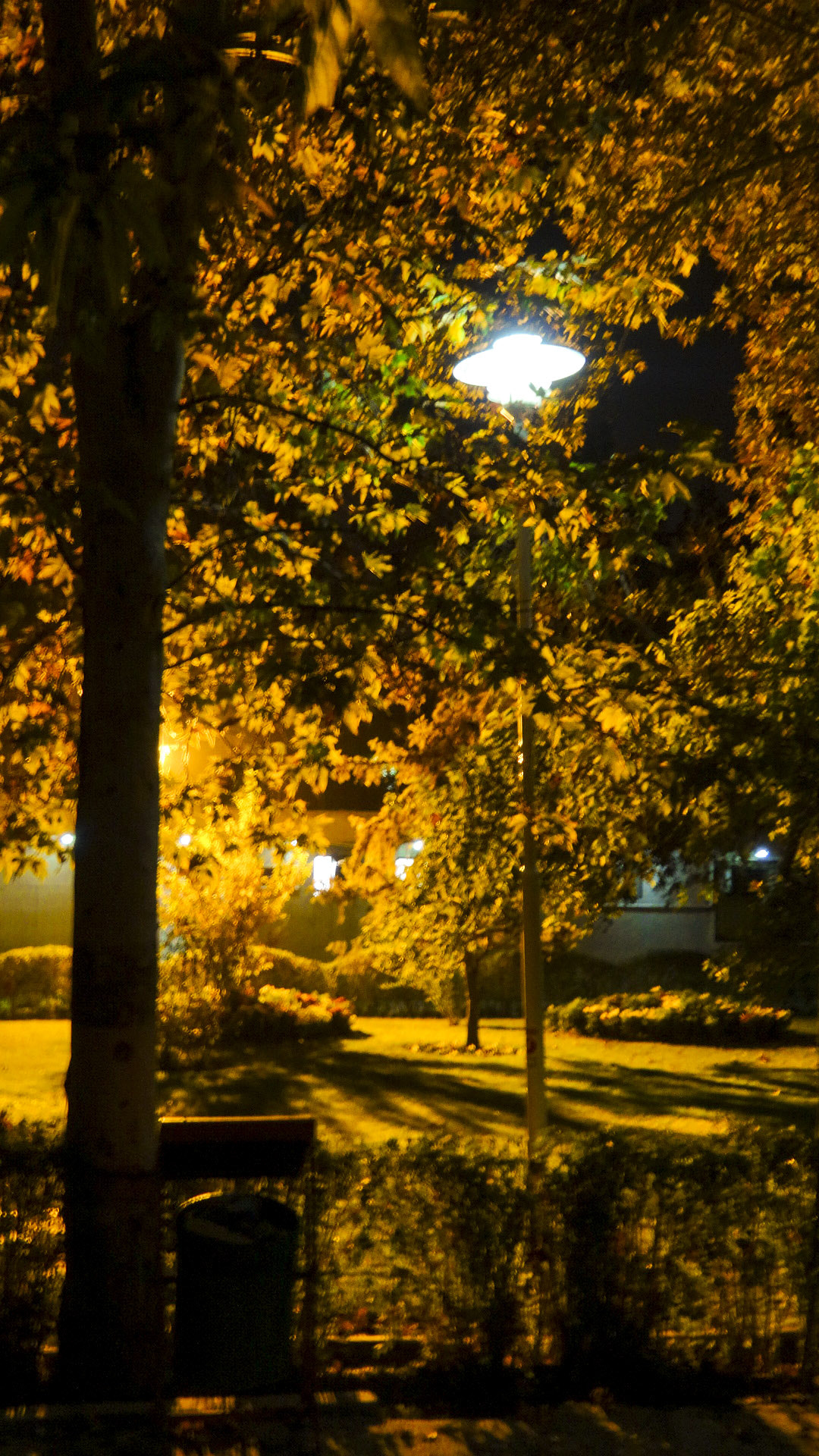 Sony Cyber-shot DSC-WX300 sample photo. Autumn photography