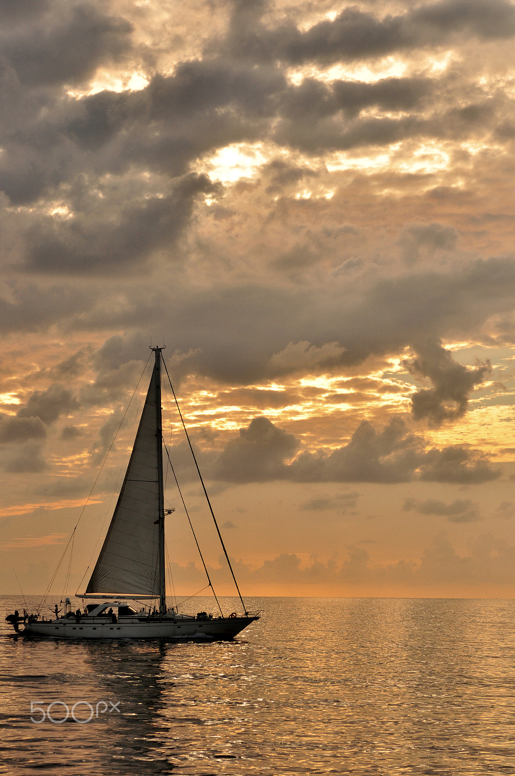 Nikon AF-S Nikkor 28-70mm F2.8 ED-IF sample photo. Love it photography