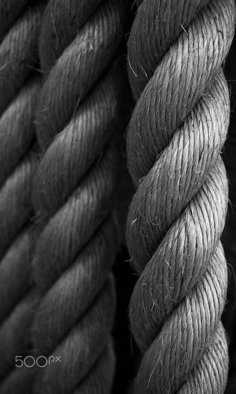 Nikon 1 J2 + Nikon 1 Nikkor 18.5mm F1.8 sample photo. Kanji museum rope photography