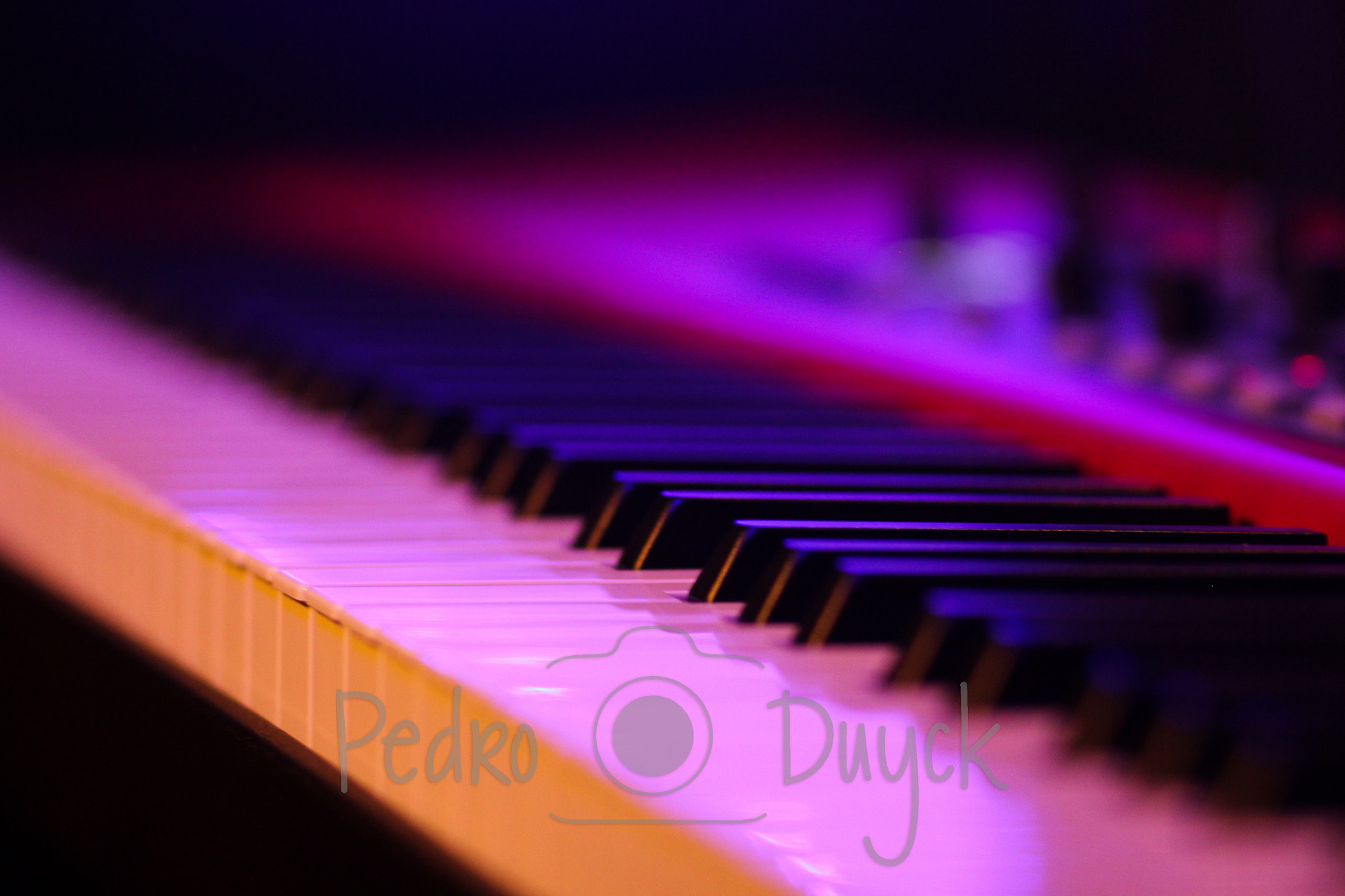 Canon EOS 550D (EOS Rebel T2i / EOS Kiss X4) + Canon EF 85mm F1.8 USM sample photo. Piano photography