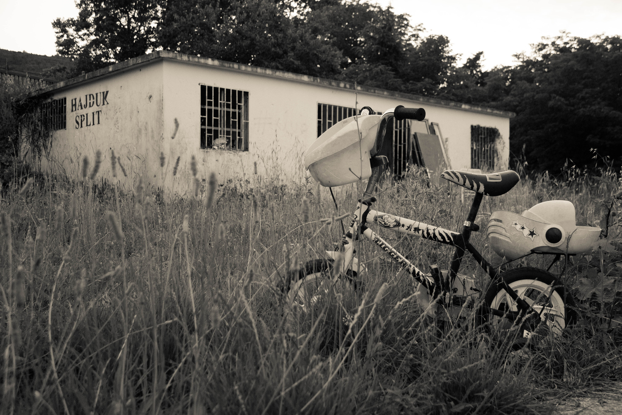 Canon EF-S 17-85mm F4-5.6 IS USM sample photo. Abandoned site photography