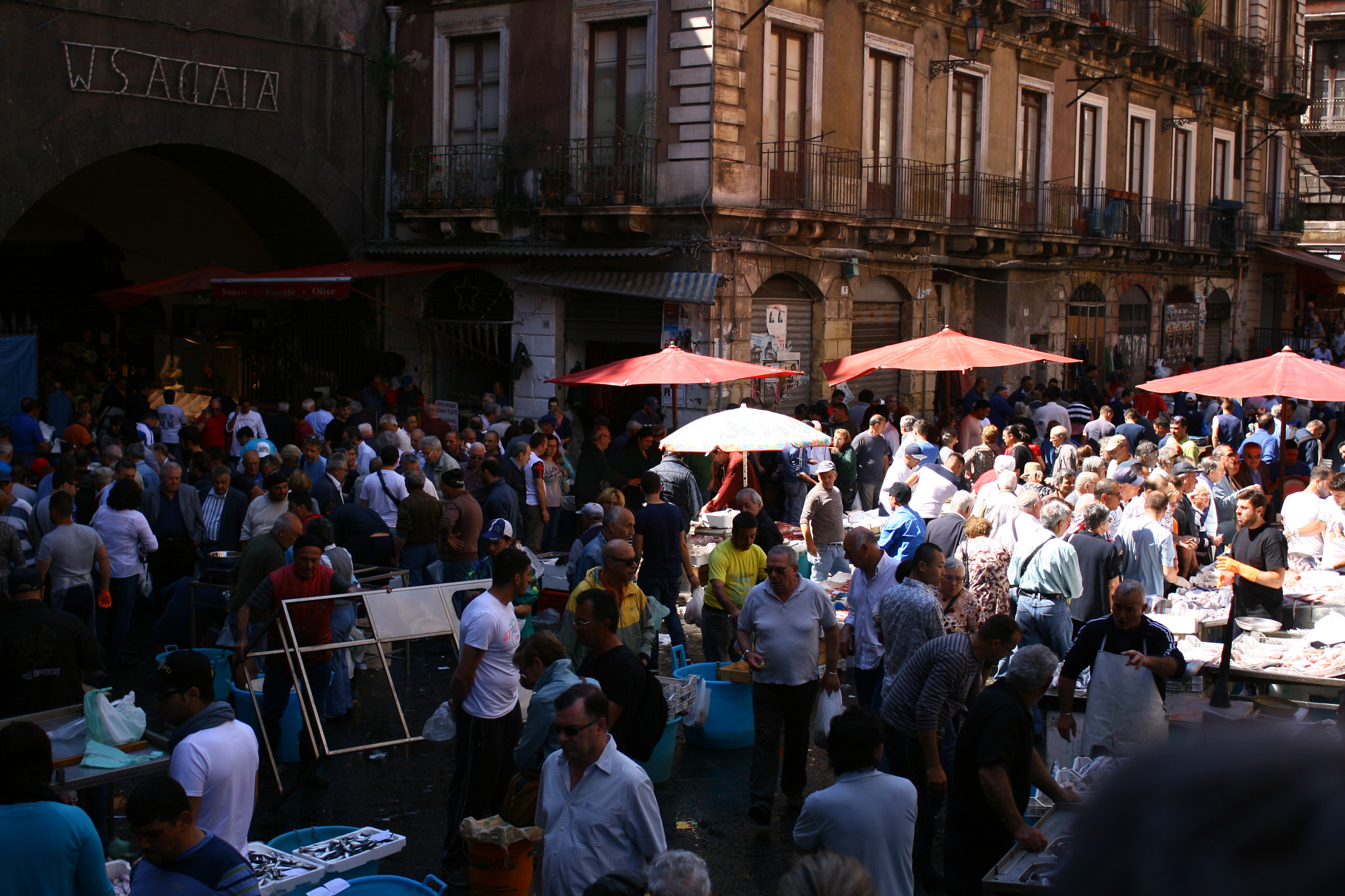 Canon EOS 400D (EOS Digital Rebel XTi / EOS Kiss Digital X) + Canon EF 28mm F2.8 sample photo. Catania, fish market photography