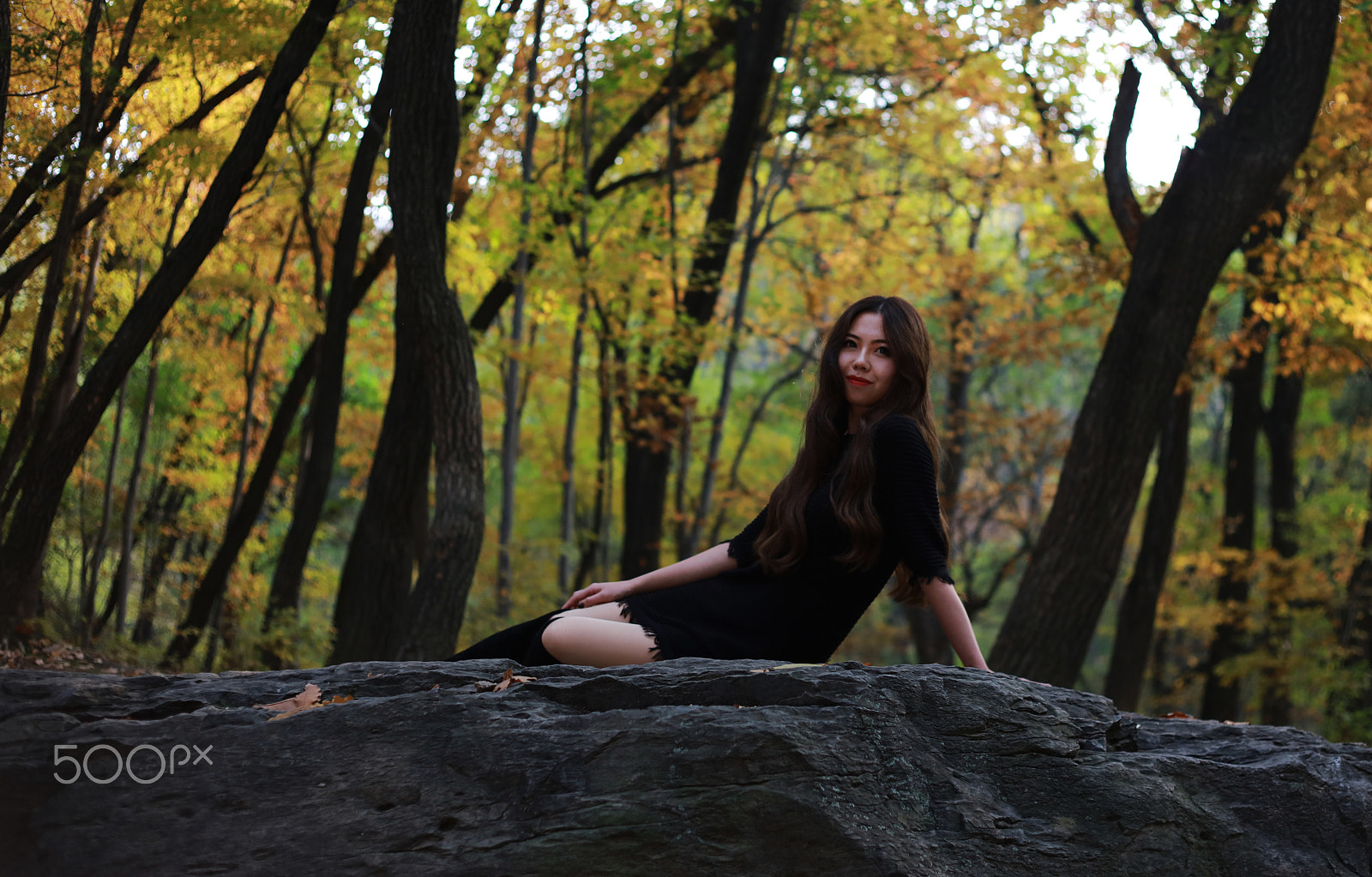 Canon EOS 5DS R sample photo. Autumn photography