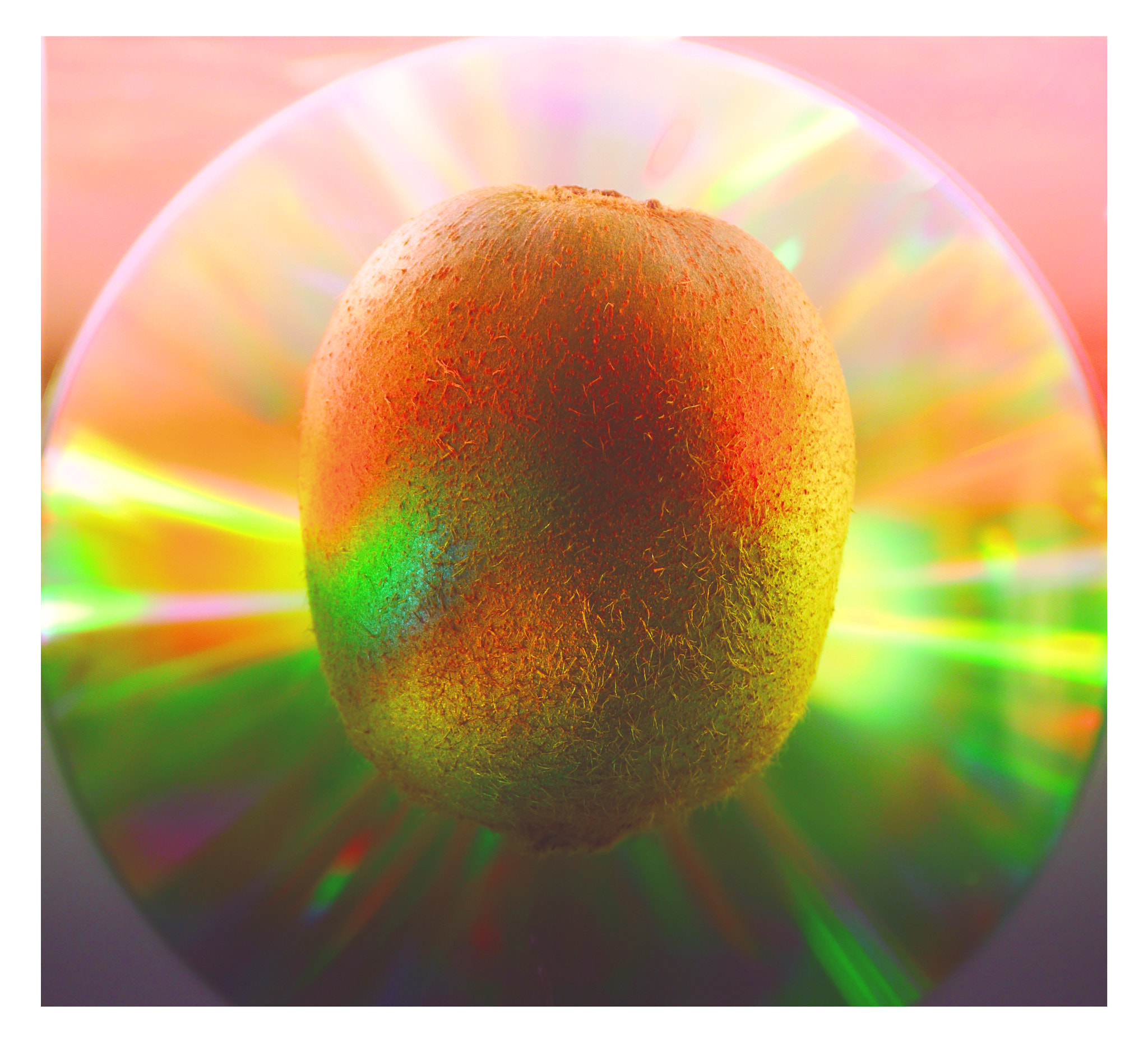Panasonic Lumix DMC-GH3 sample photo. Disco kiwi photography