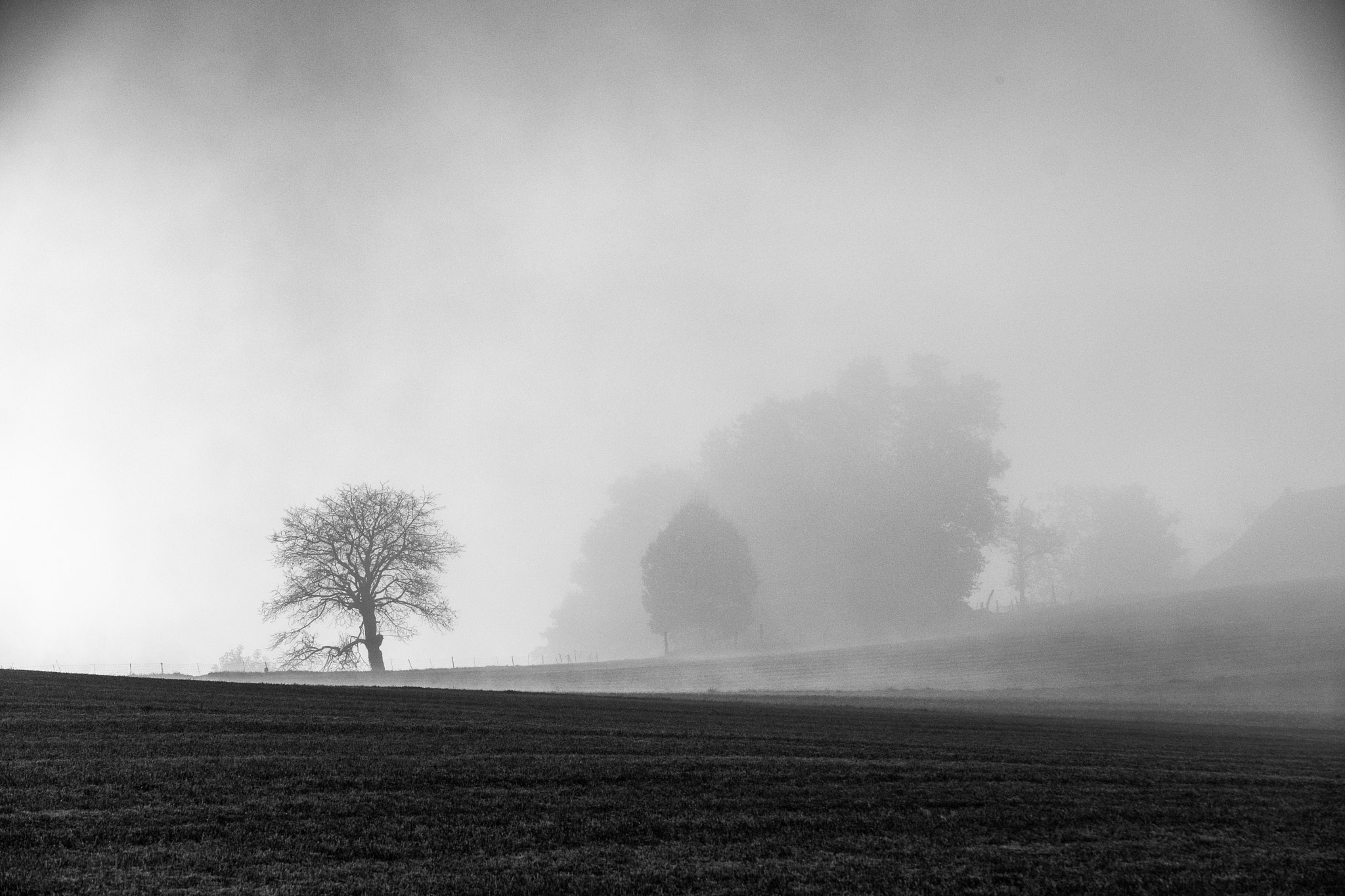 Fujifilm X-Pro2 + Fujifilm XF 50-140mm F2.8 R LM OIS WR sample photo. Morning fog photography