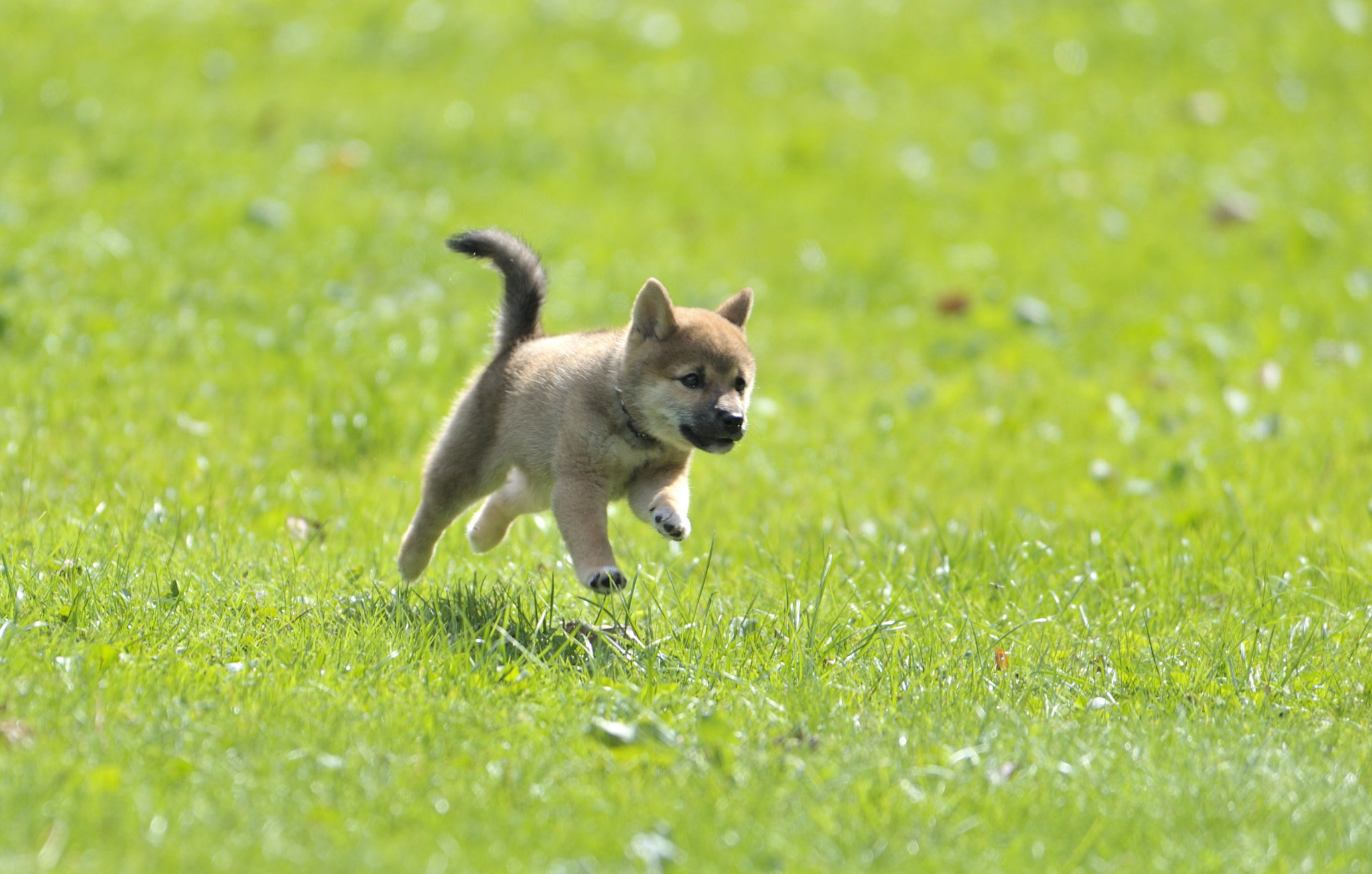 Nikon D3 sample photo. At full speed photography