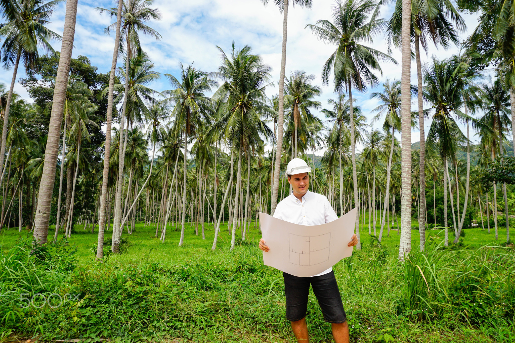 Architector inspect land for construction site in coconut palm tree grove