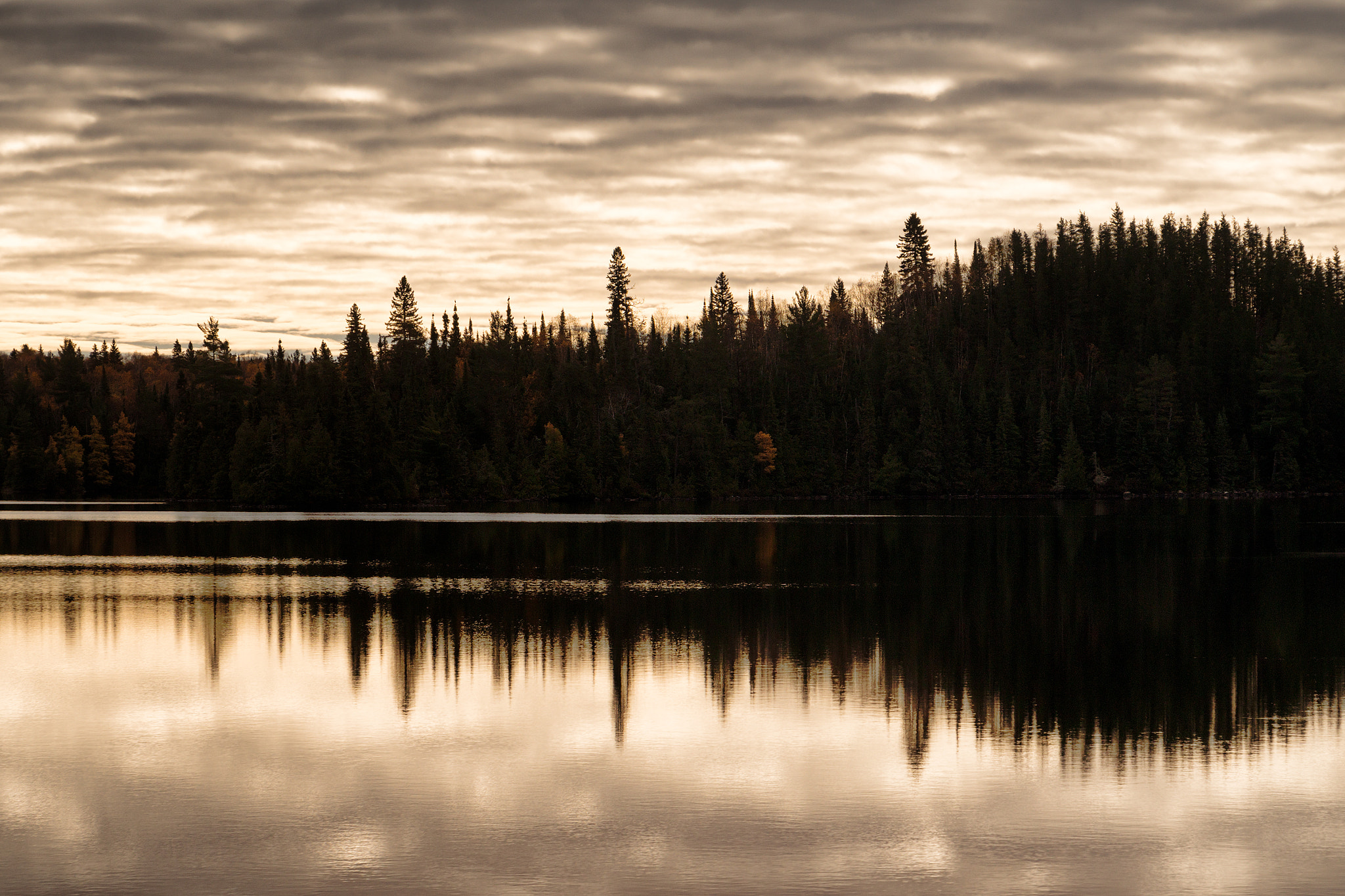 Sony E 18-200mm F3.5-6.3 OSS sample photo. 'first light' photography